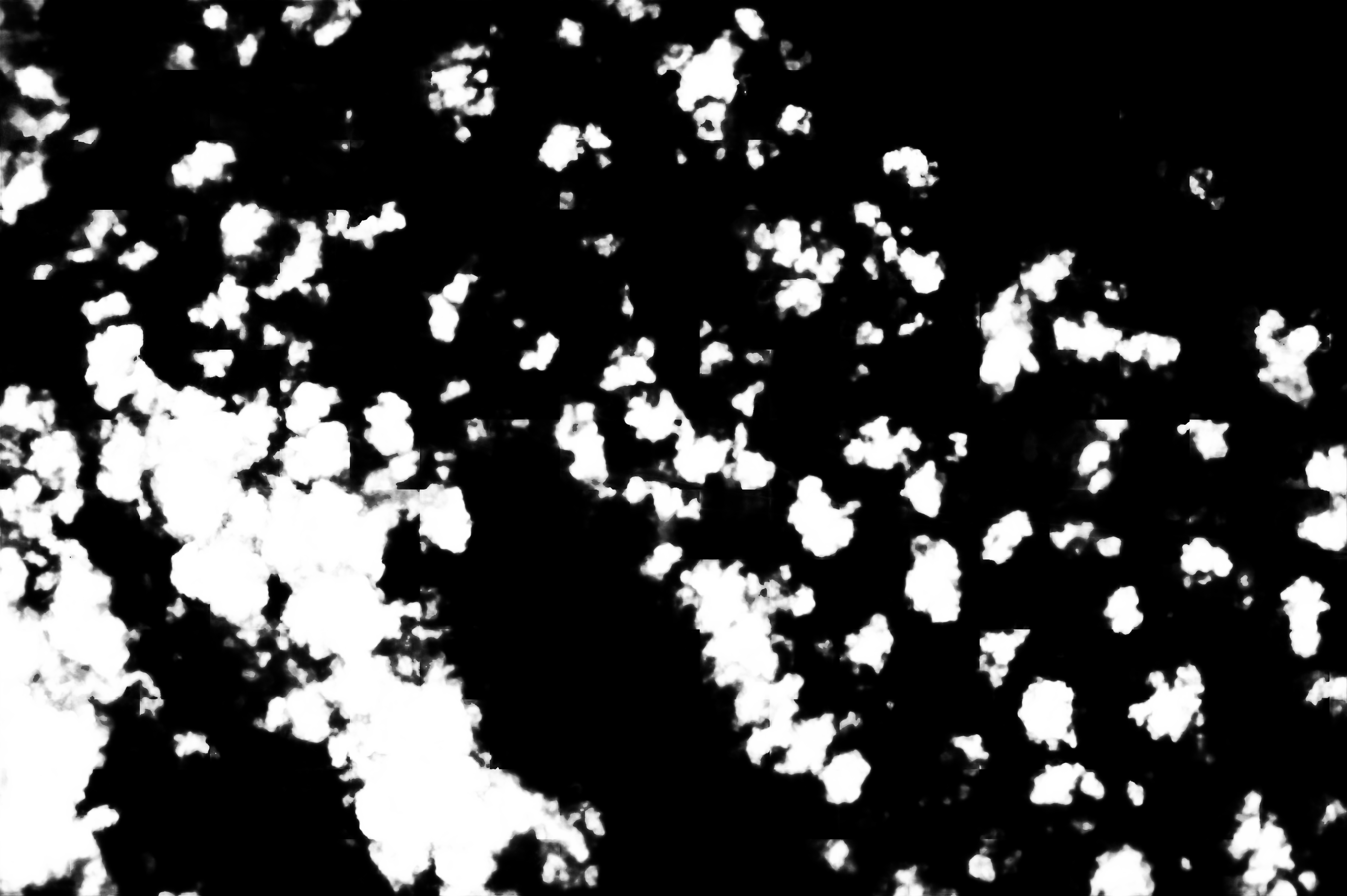 cloud mask image display 