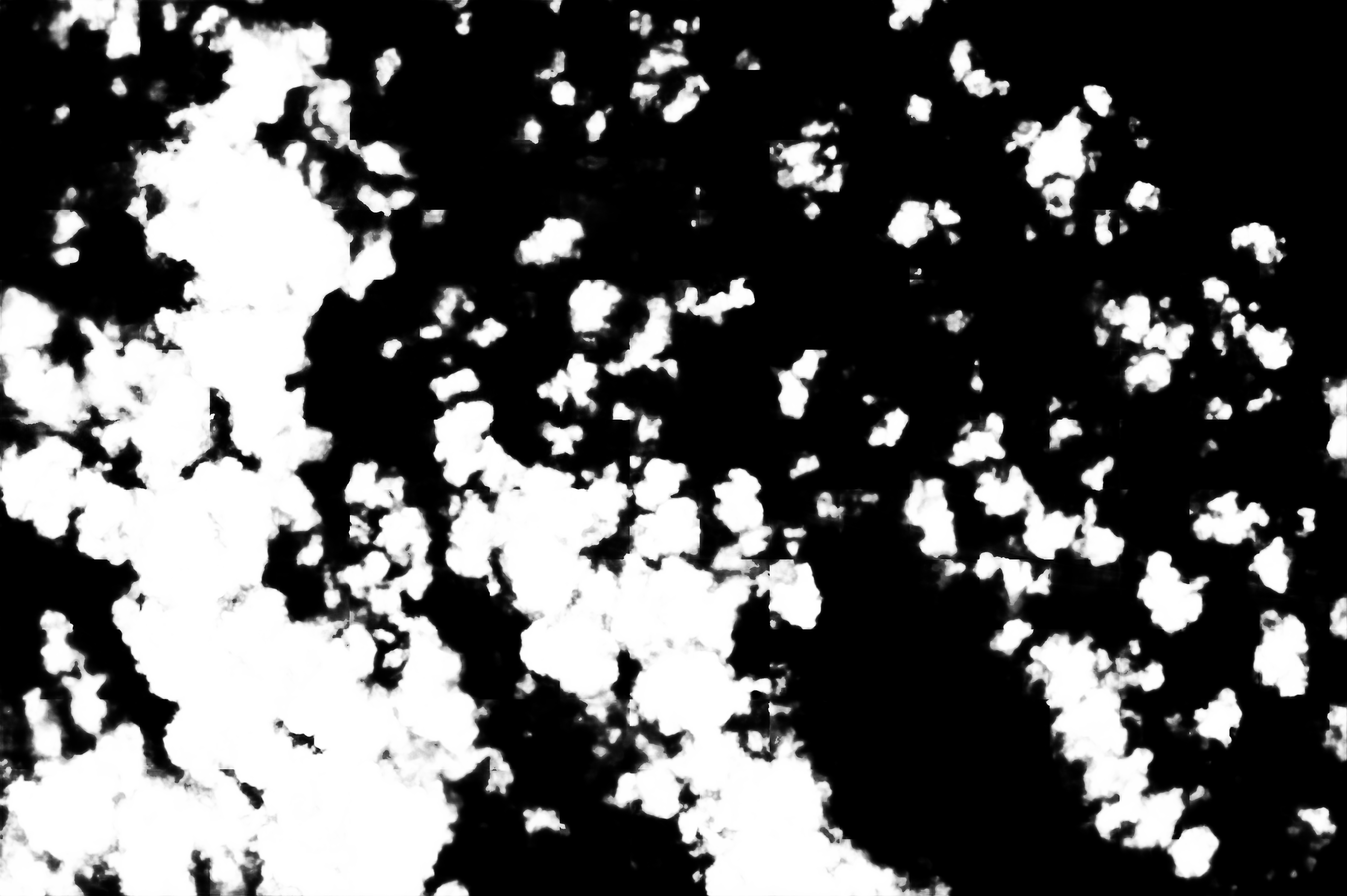 cloud mask image display 