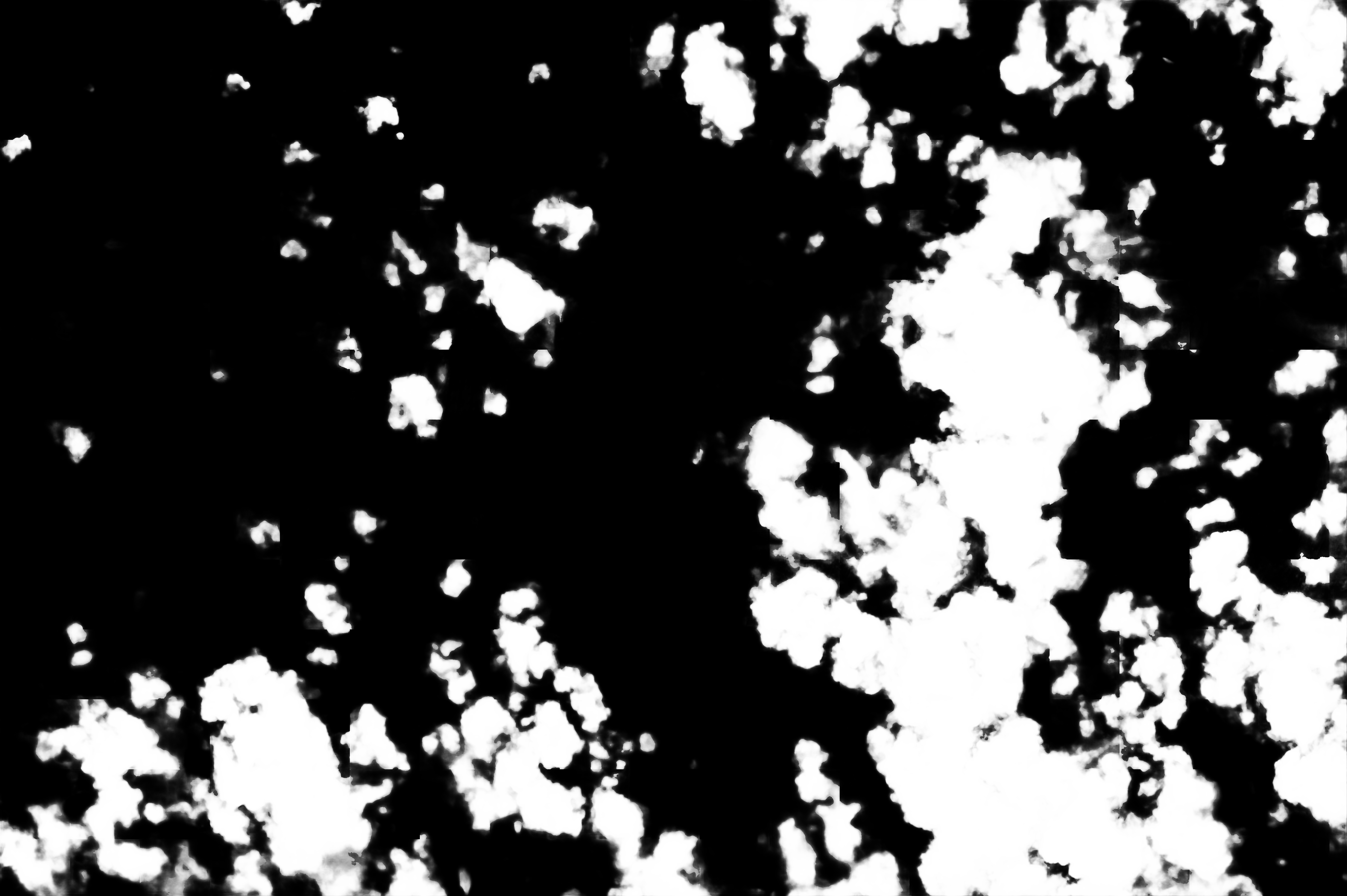 cloud mask image display 