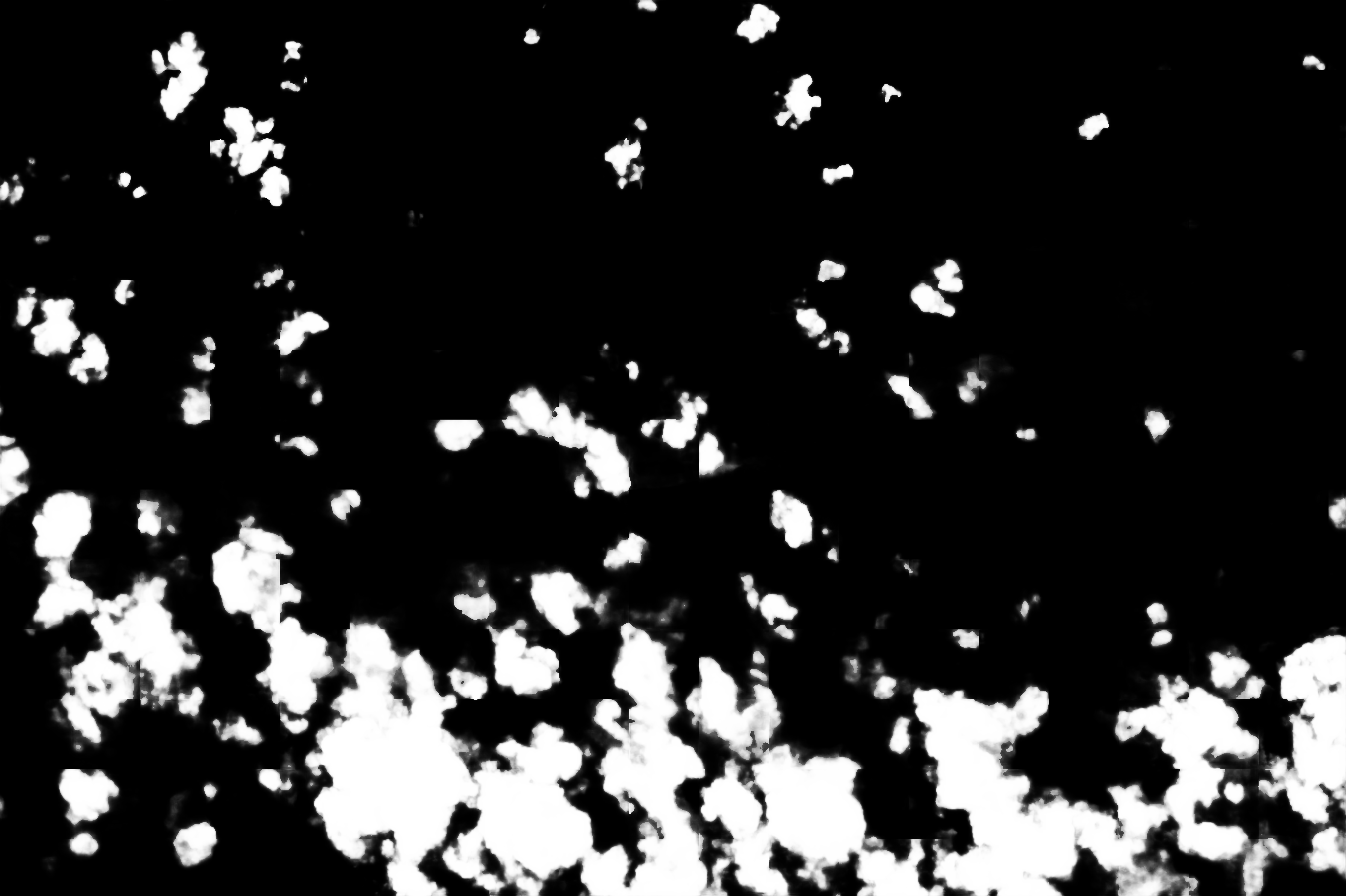 cloud mask image display 