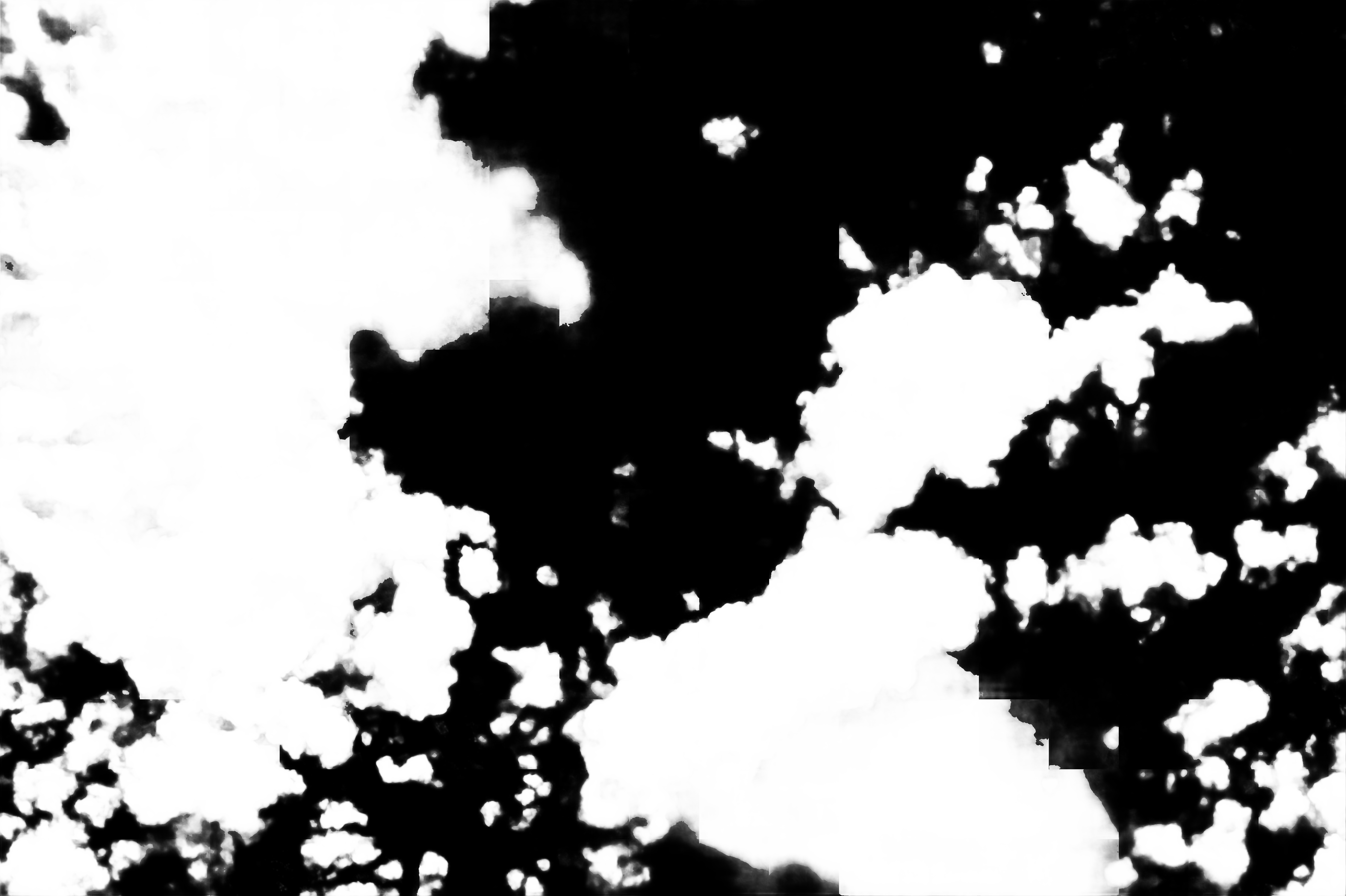 cloud mask image display 