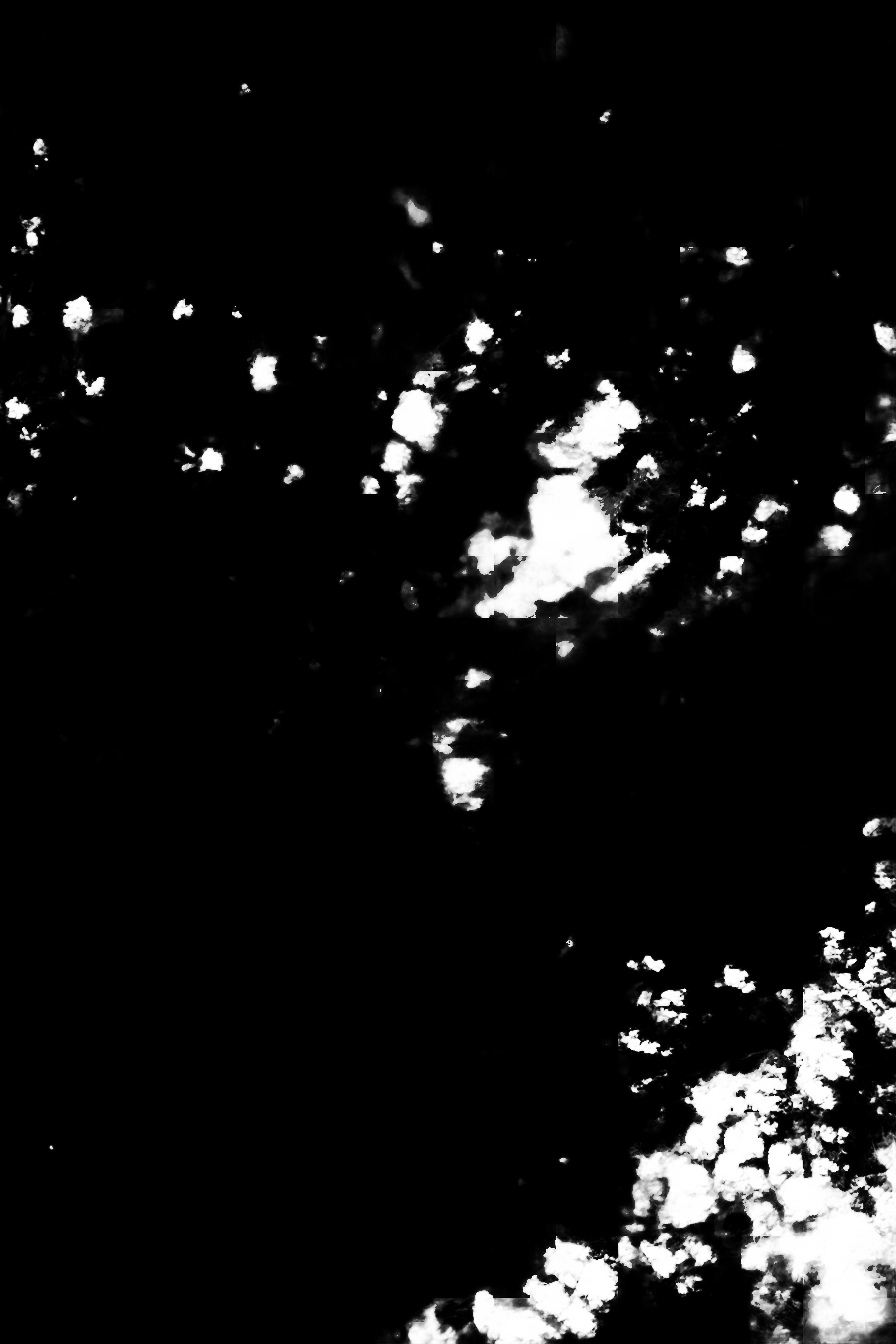 cloud mask image display 