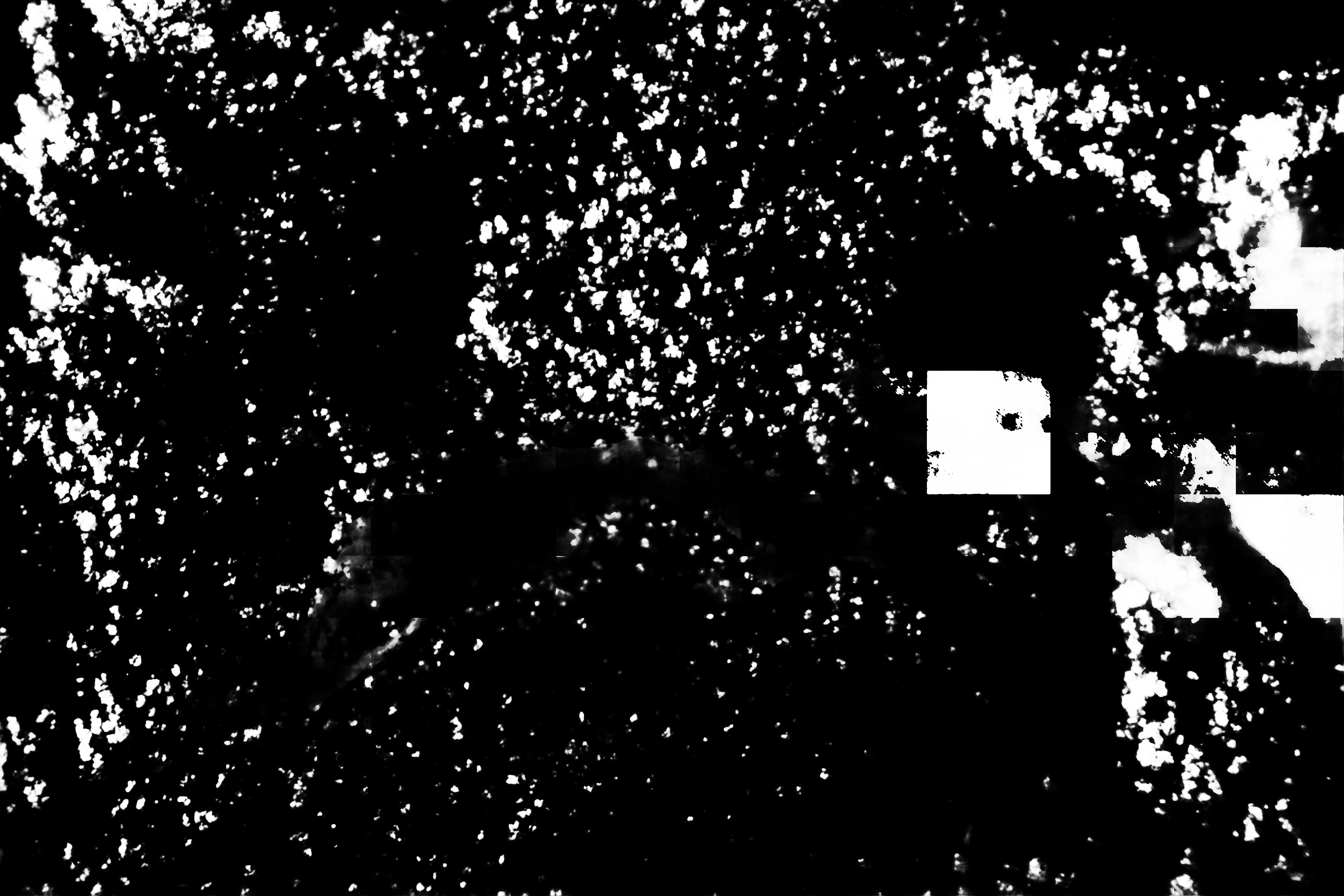 cloud mask image display 