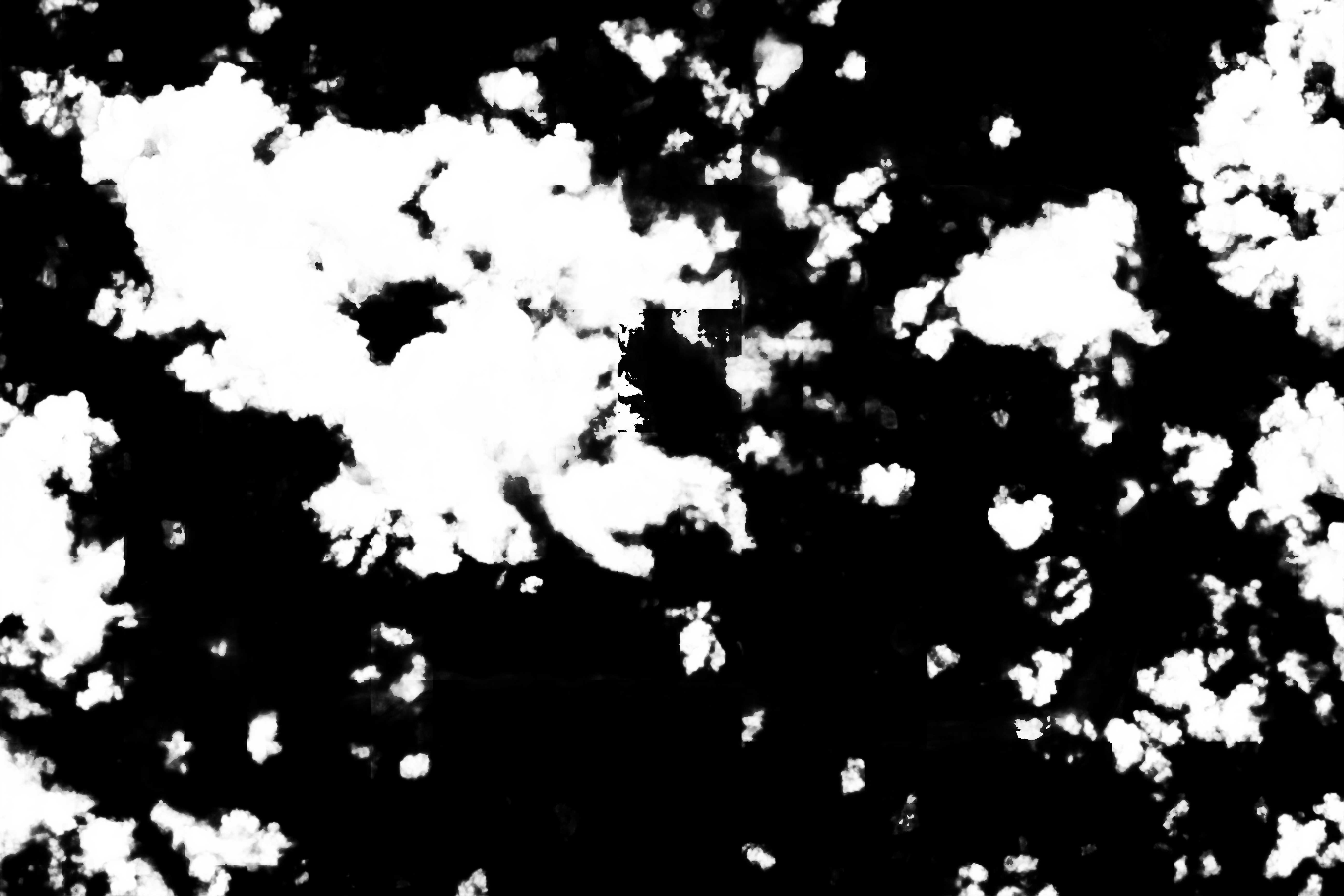 cloud mask image display 