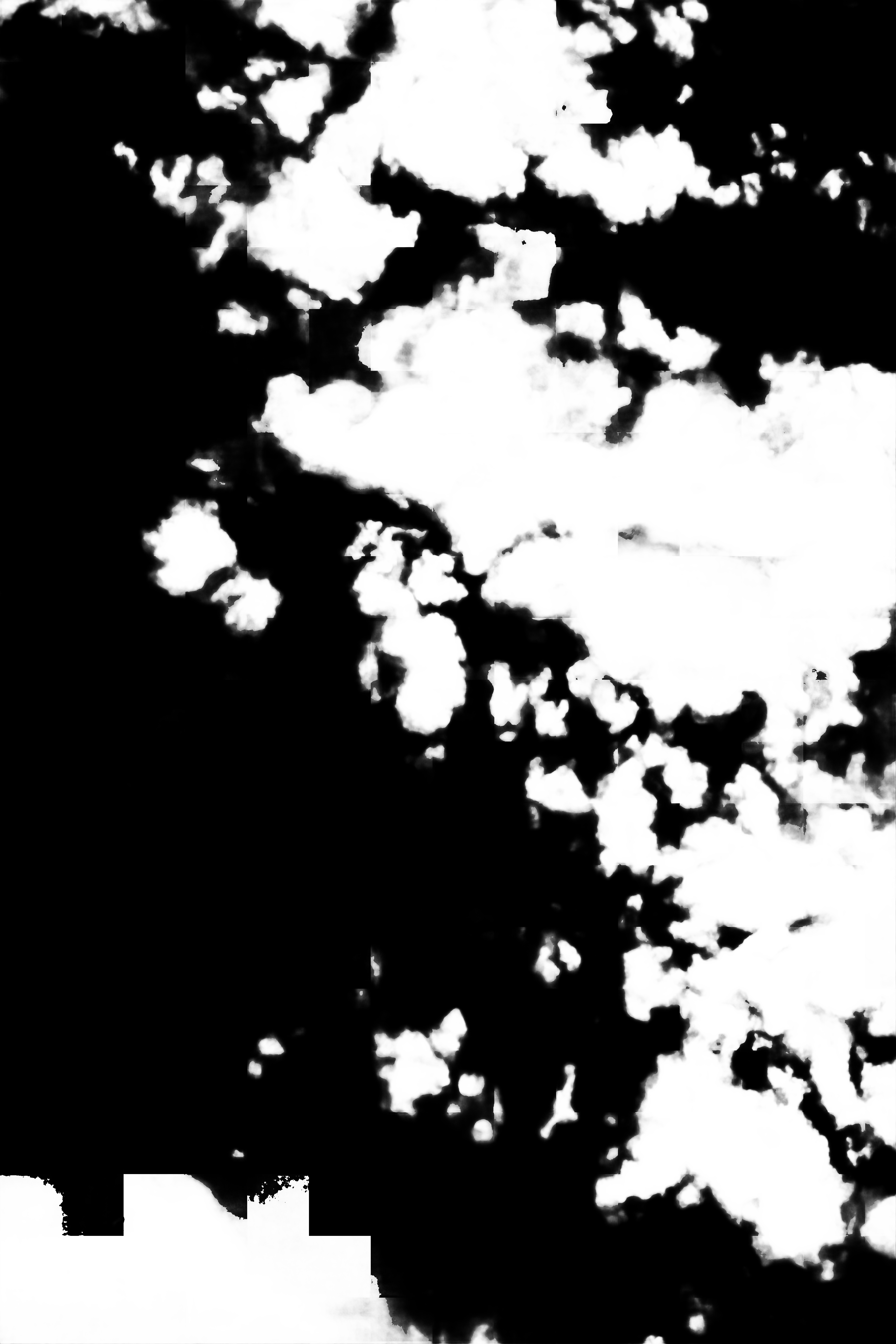 cloud mask image display 