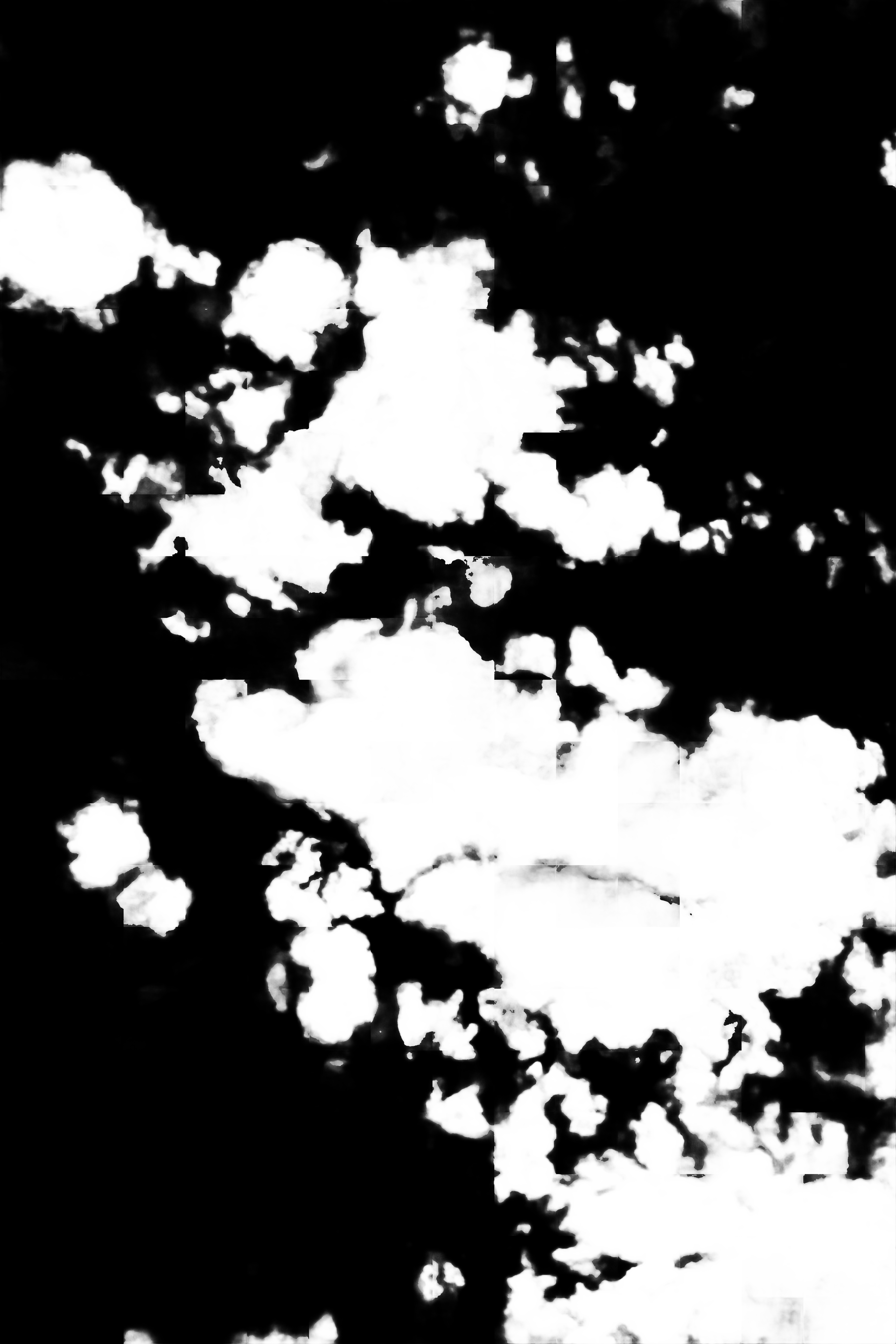 cloud mask image display 