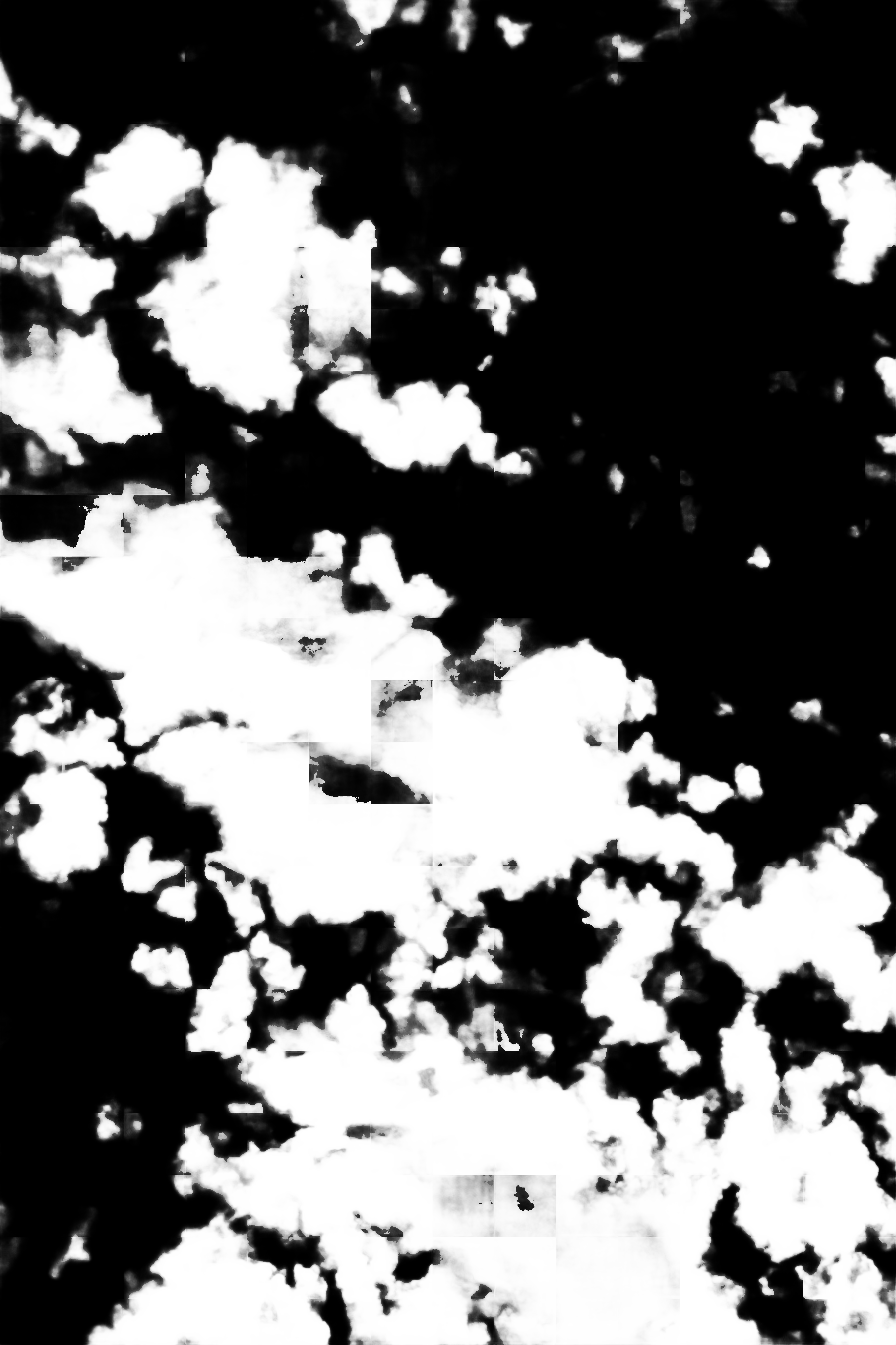 cloud mask image display 