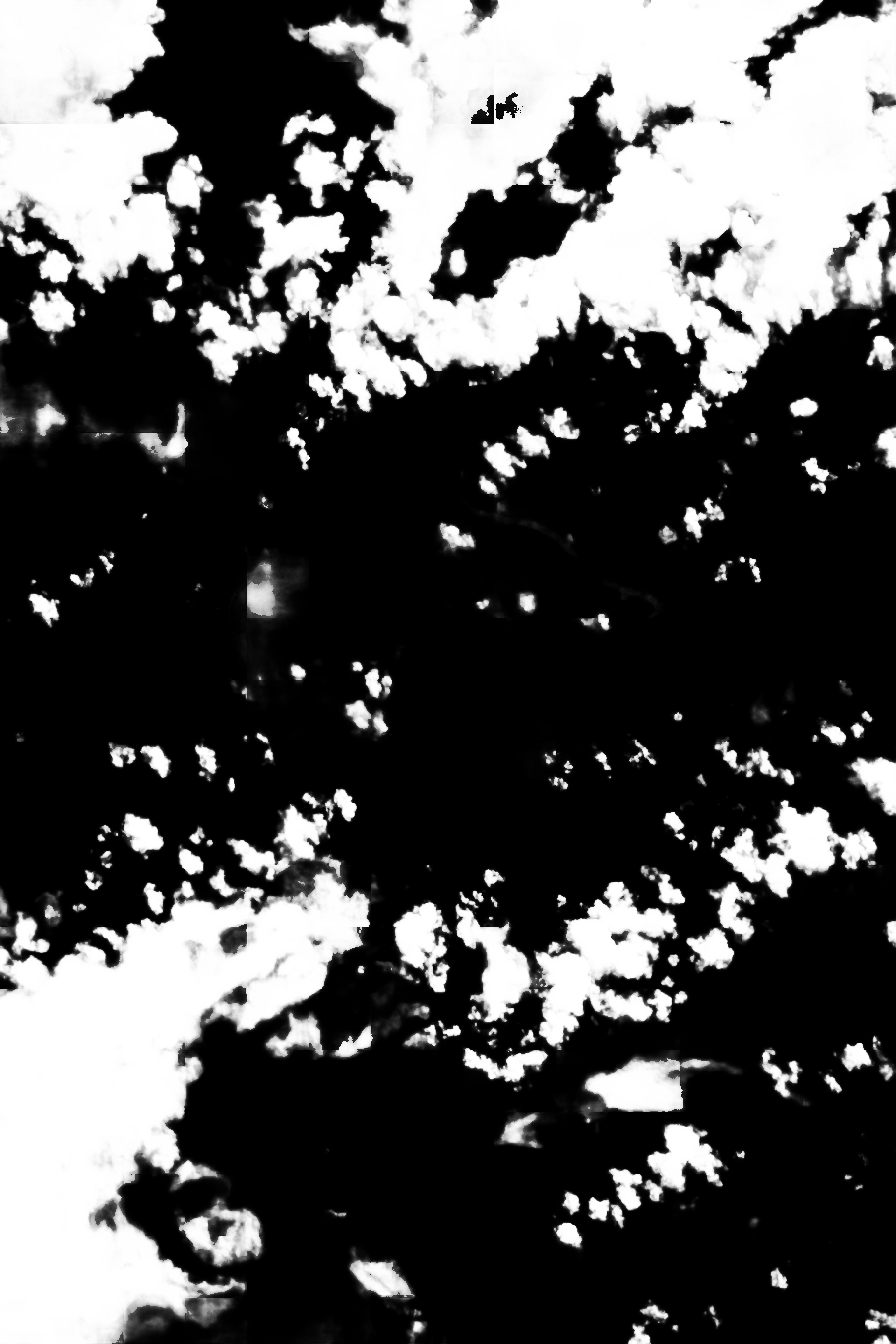 cloud mask image display 