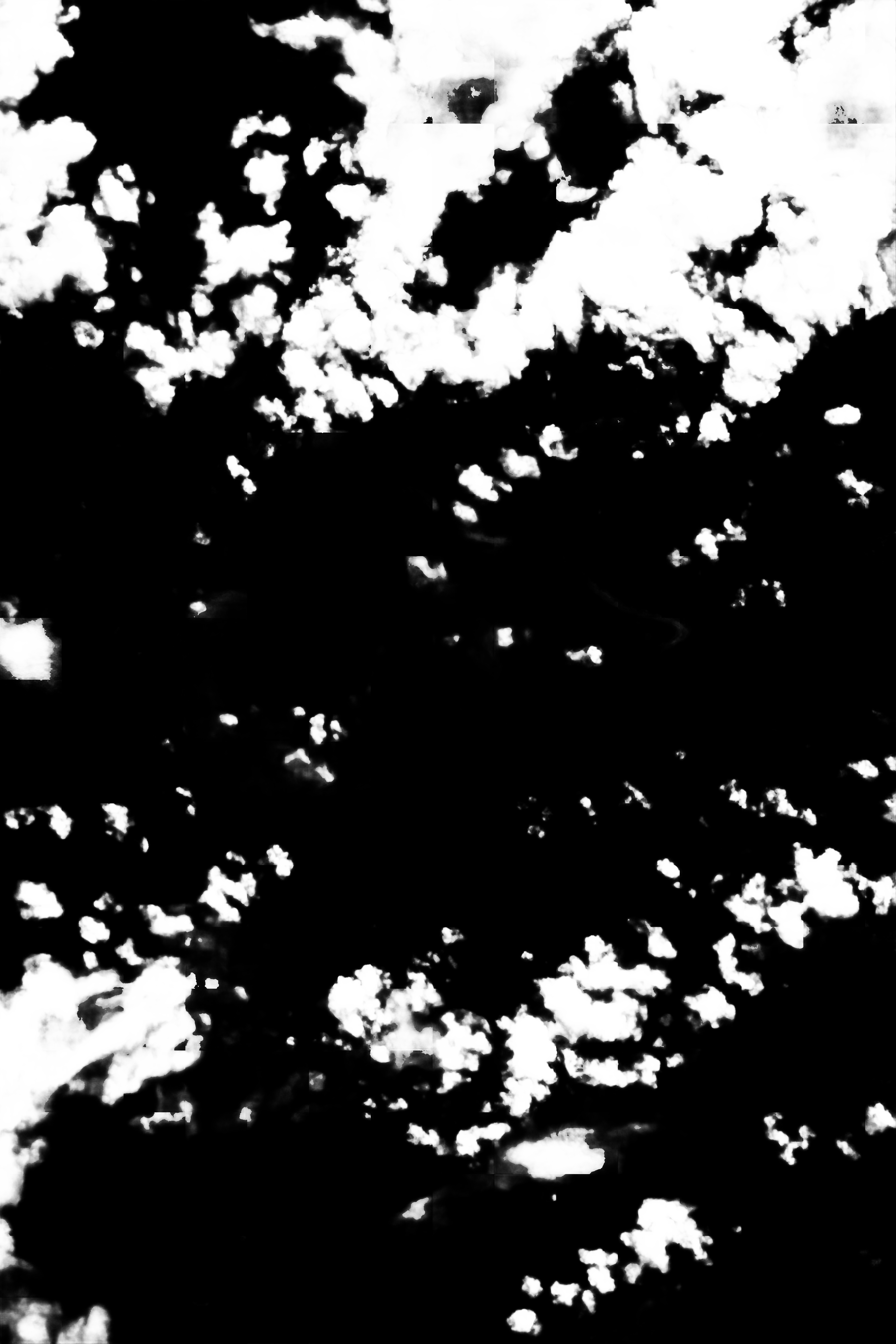 cloud mask image display 