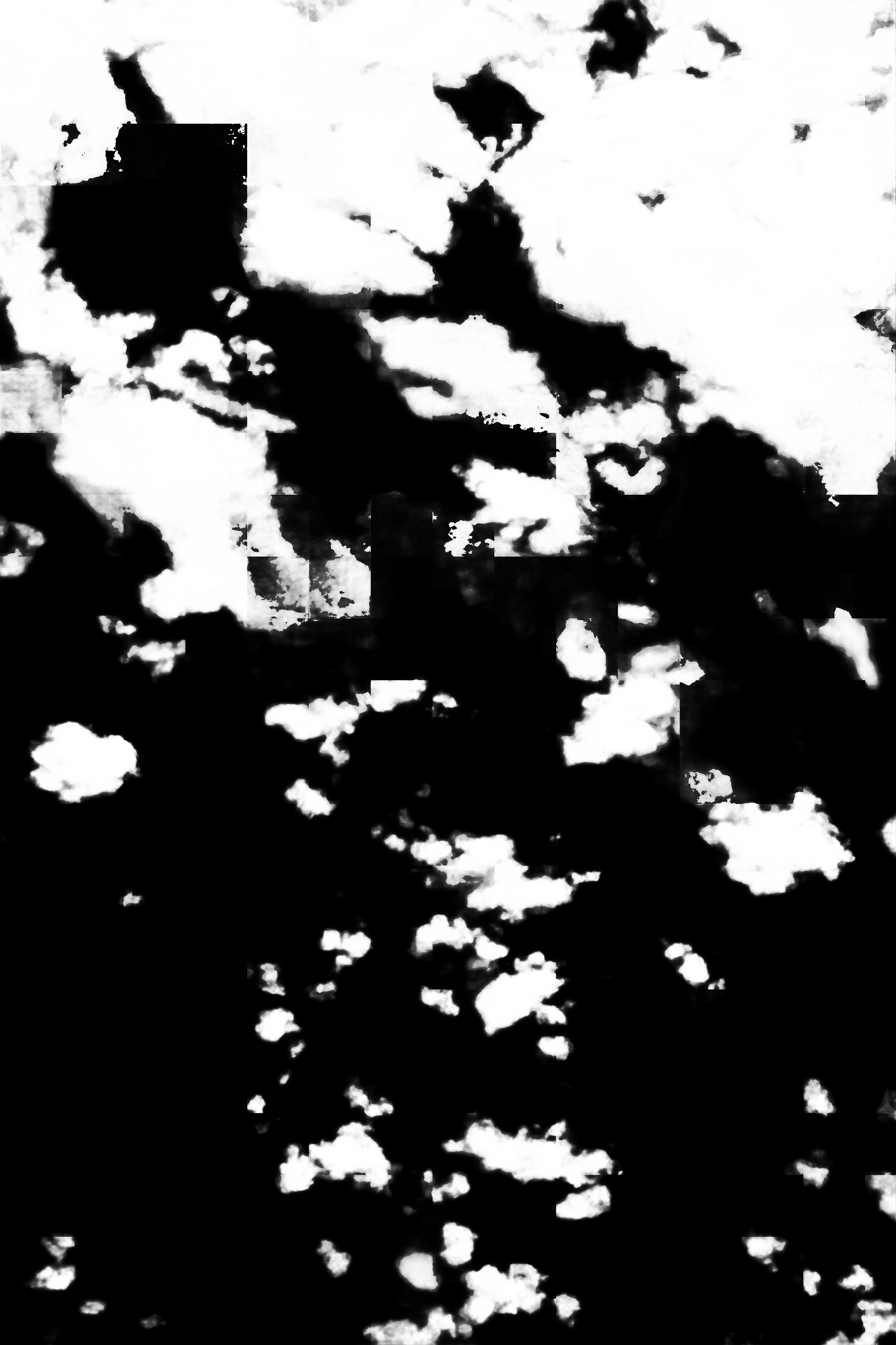 cloud mask image display 