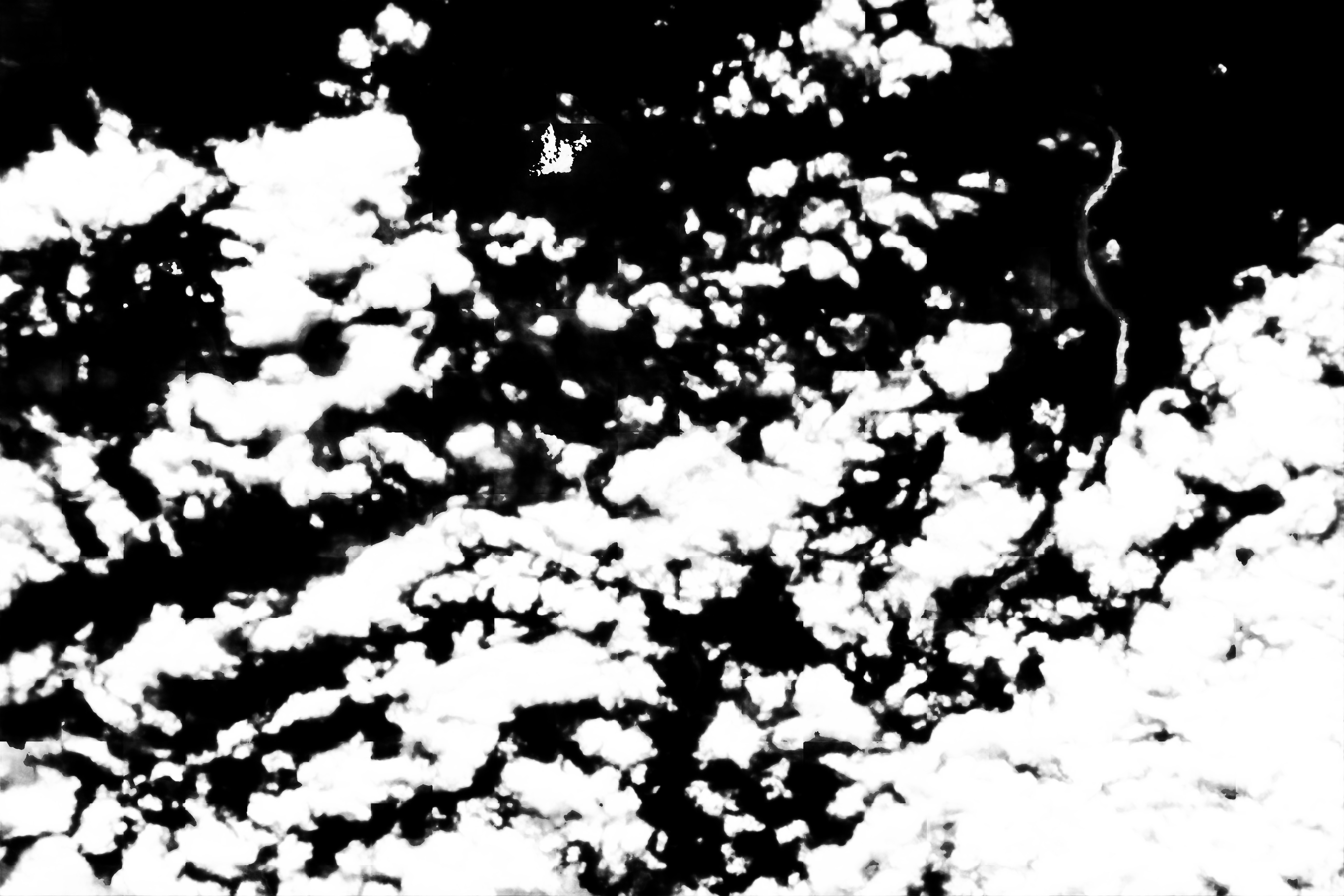 cloud mask image display 