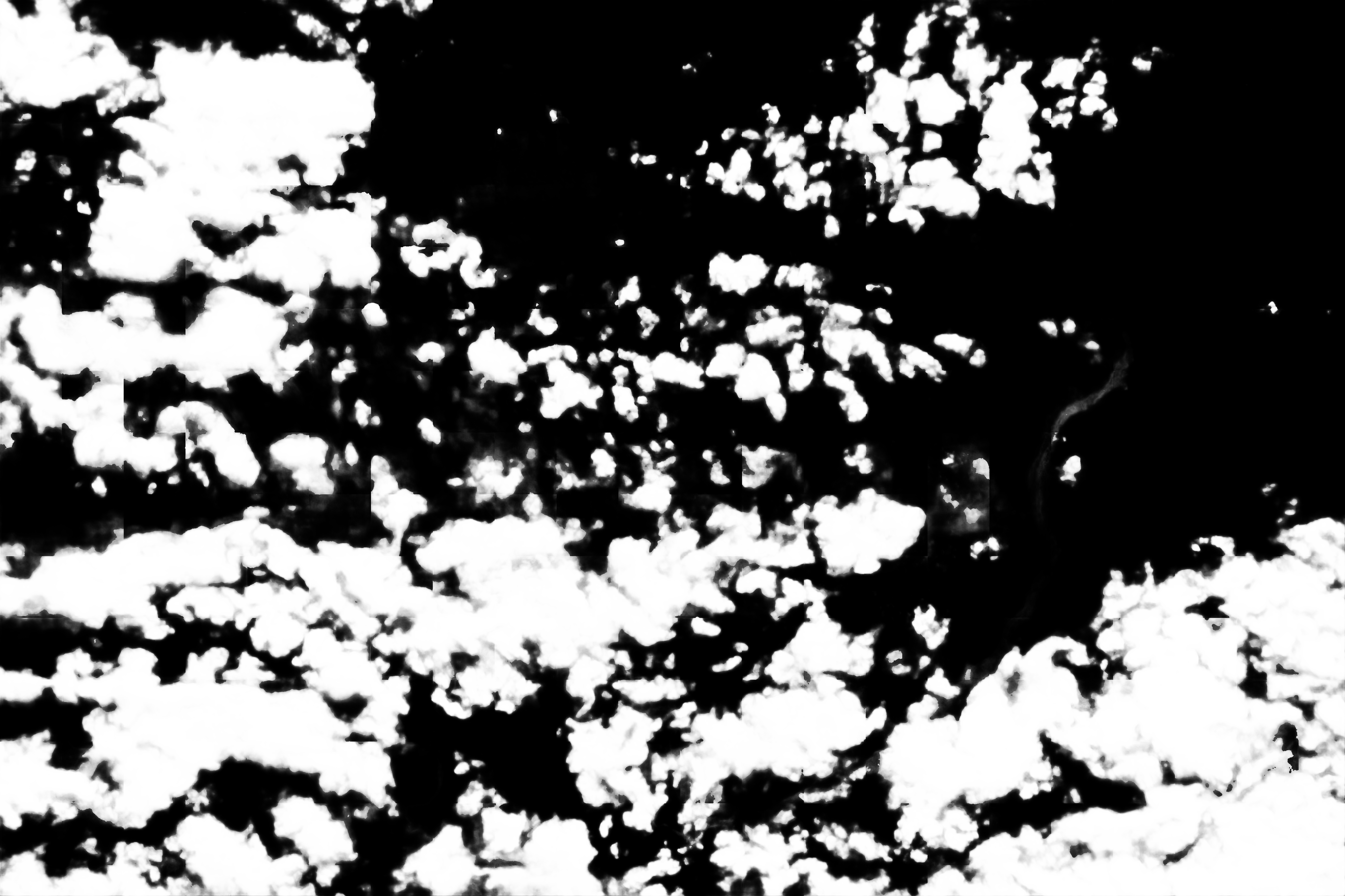 cloud mask image display 