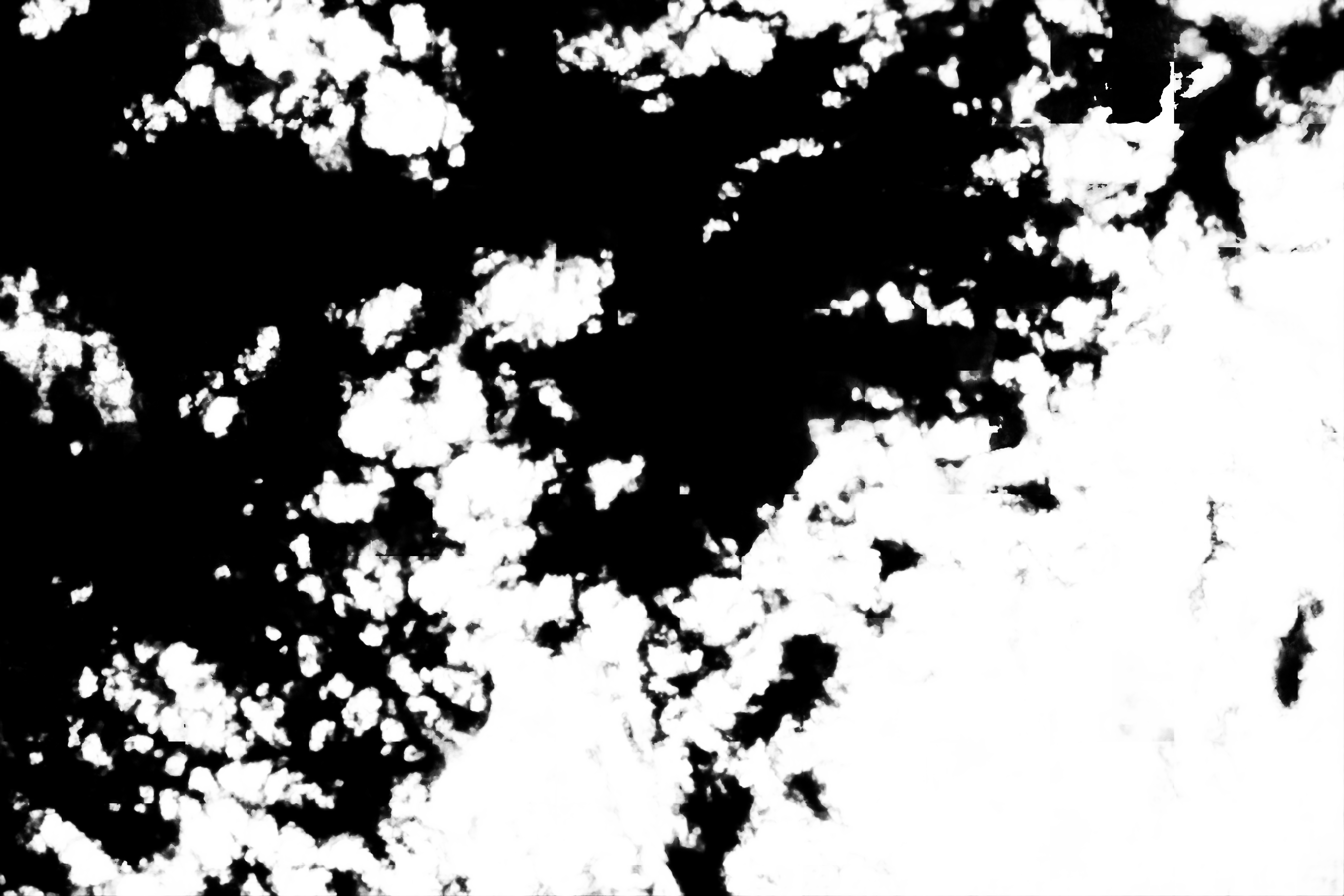 cloud mask image display 