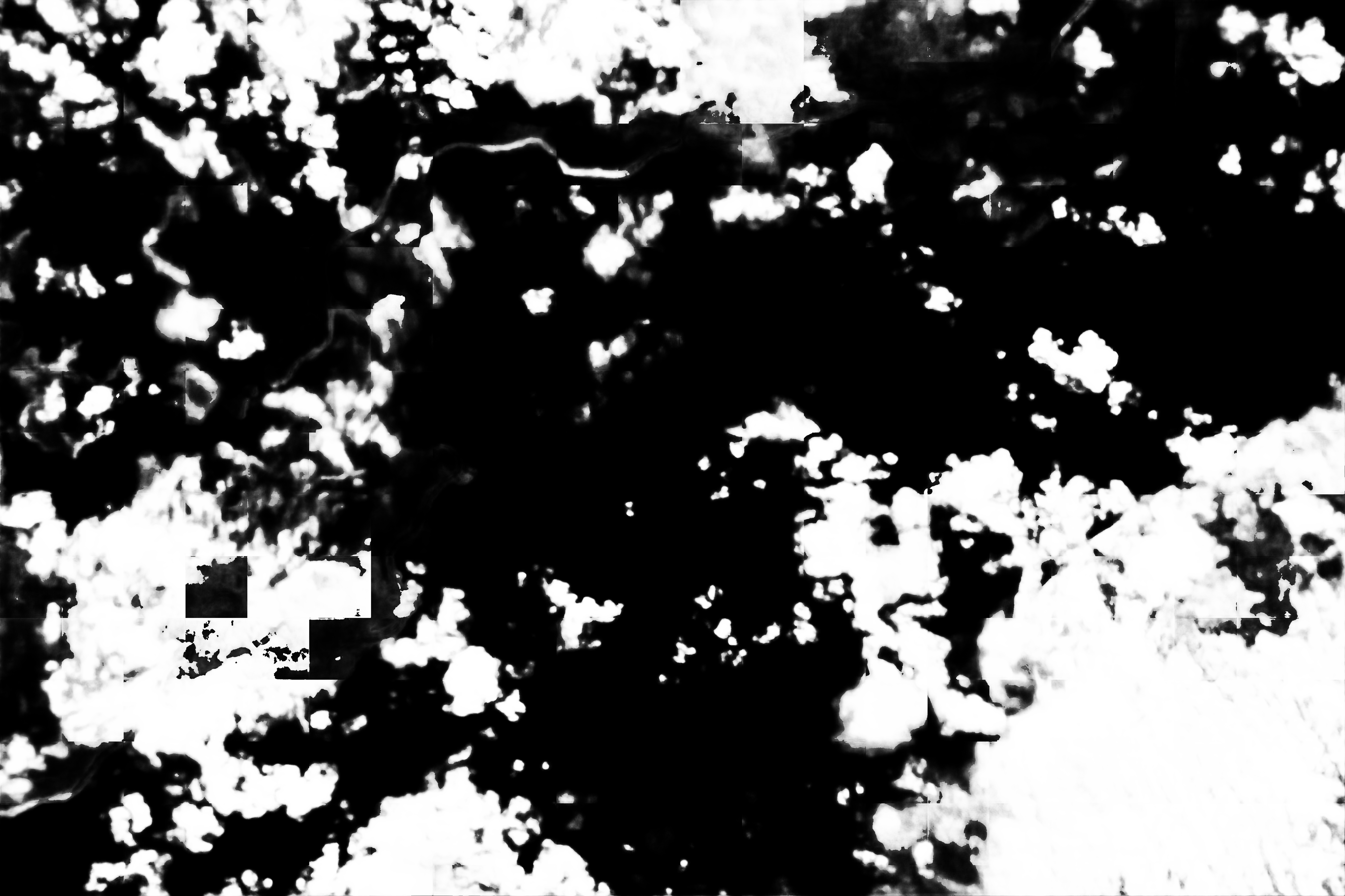 cloud mask image display 