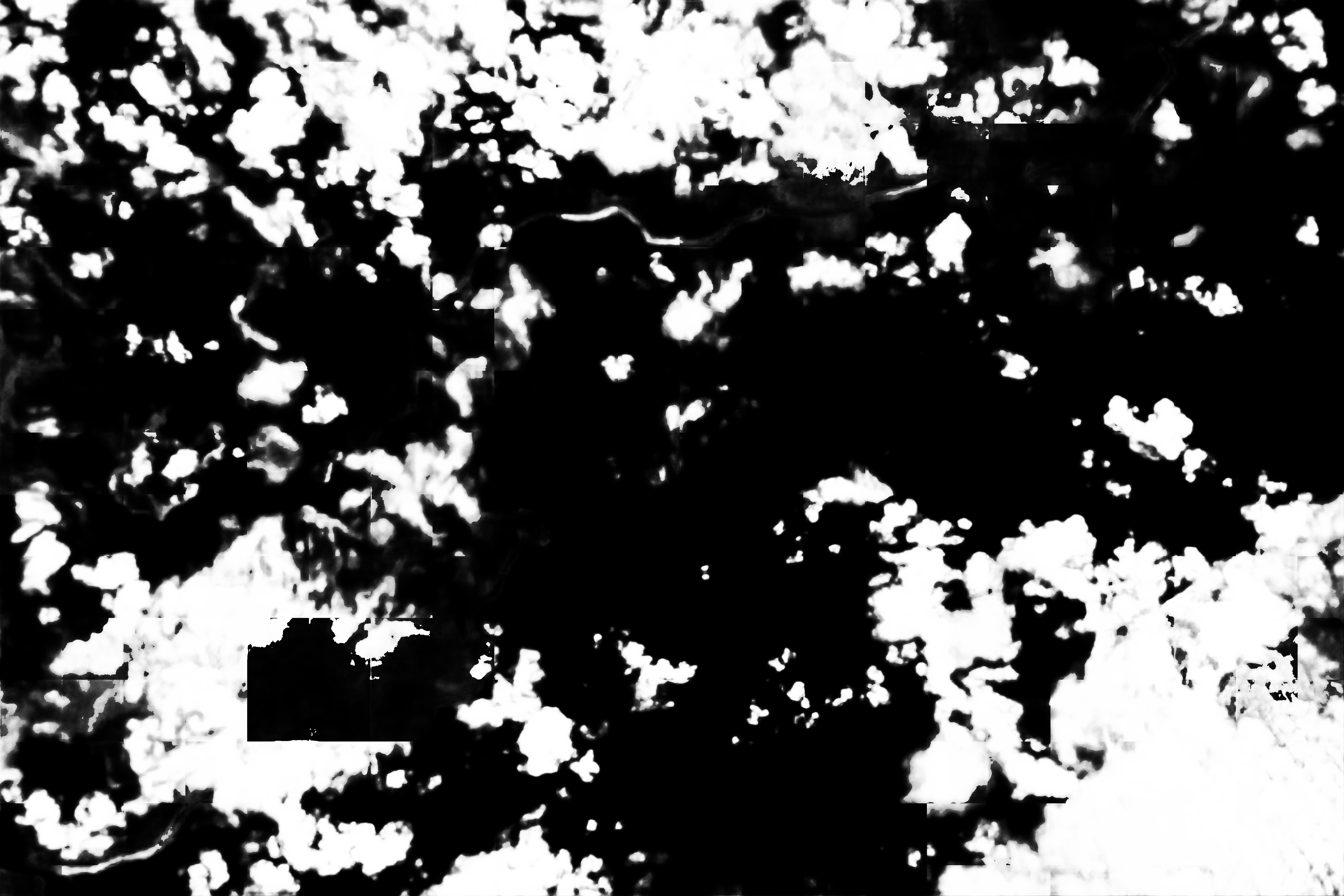 cloud mask image display 