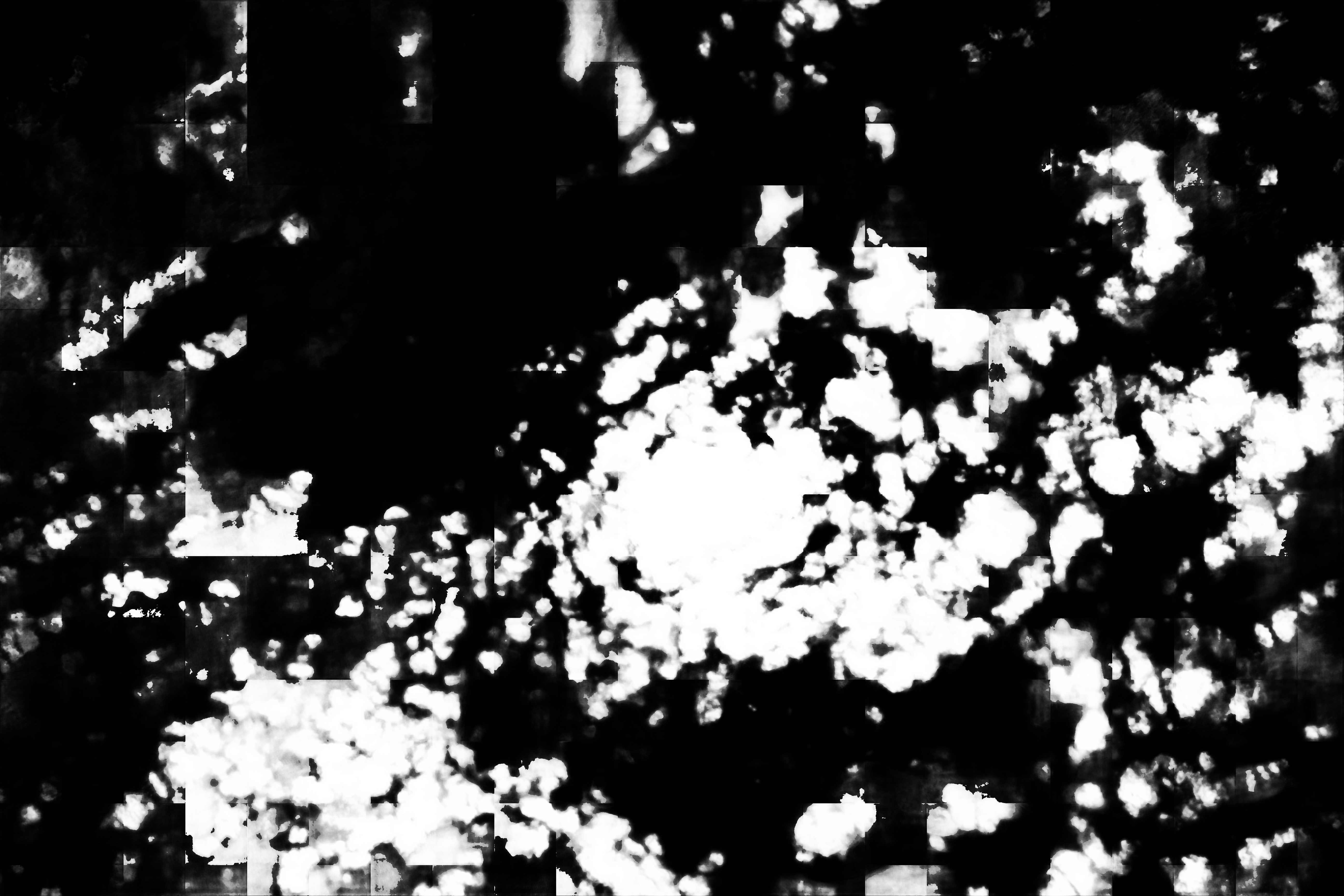 cloud mask image display 