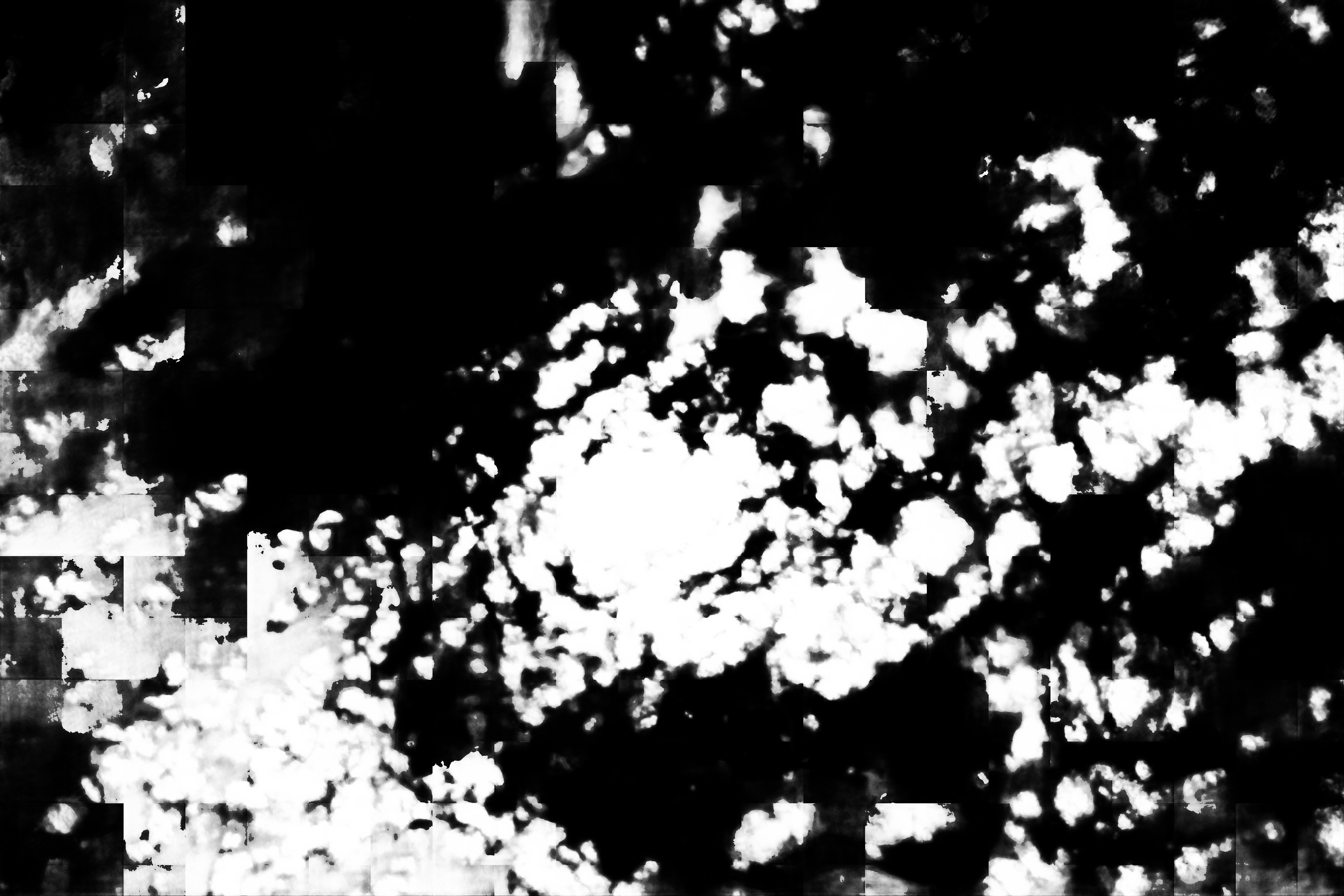 cloud mask image display 