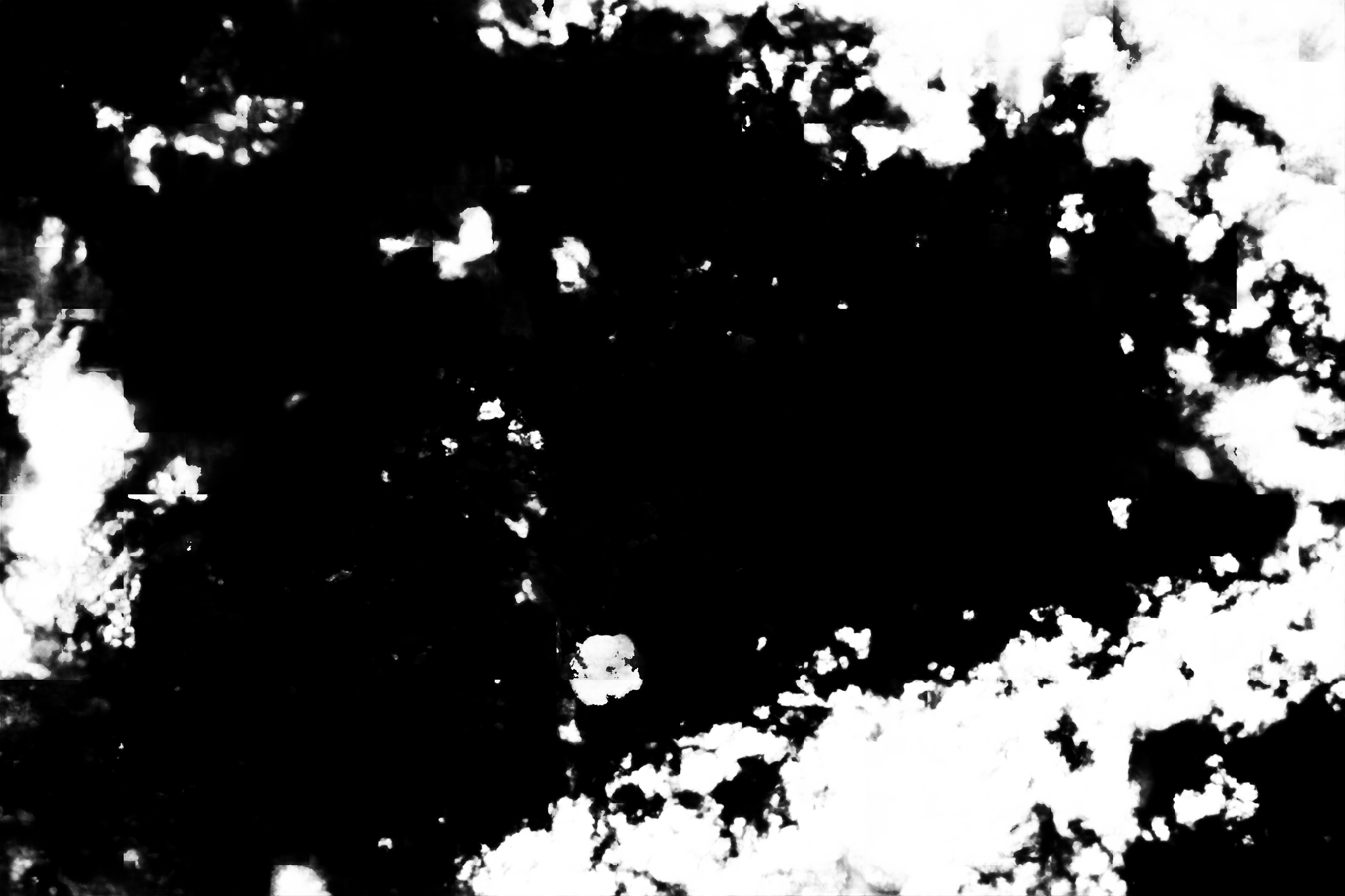 cloud mask image display 