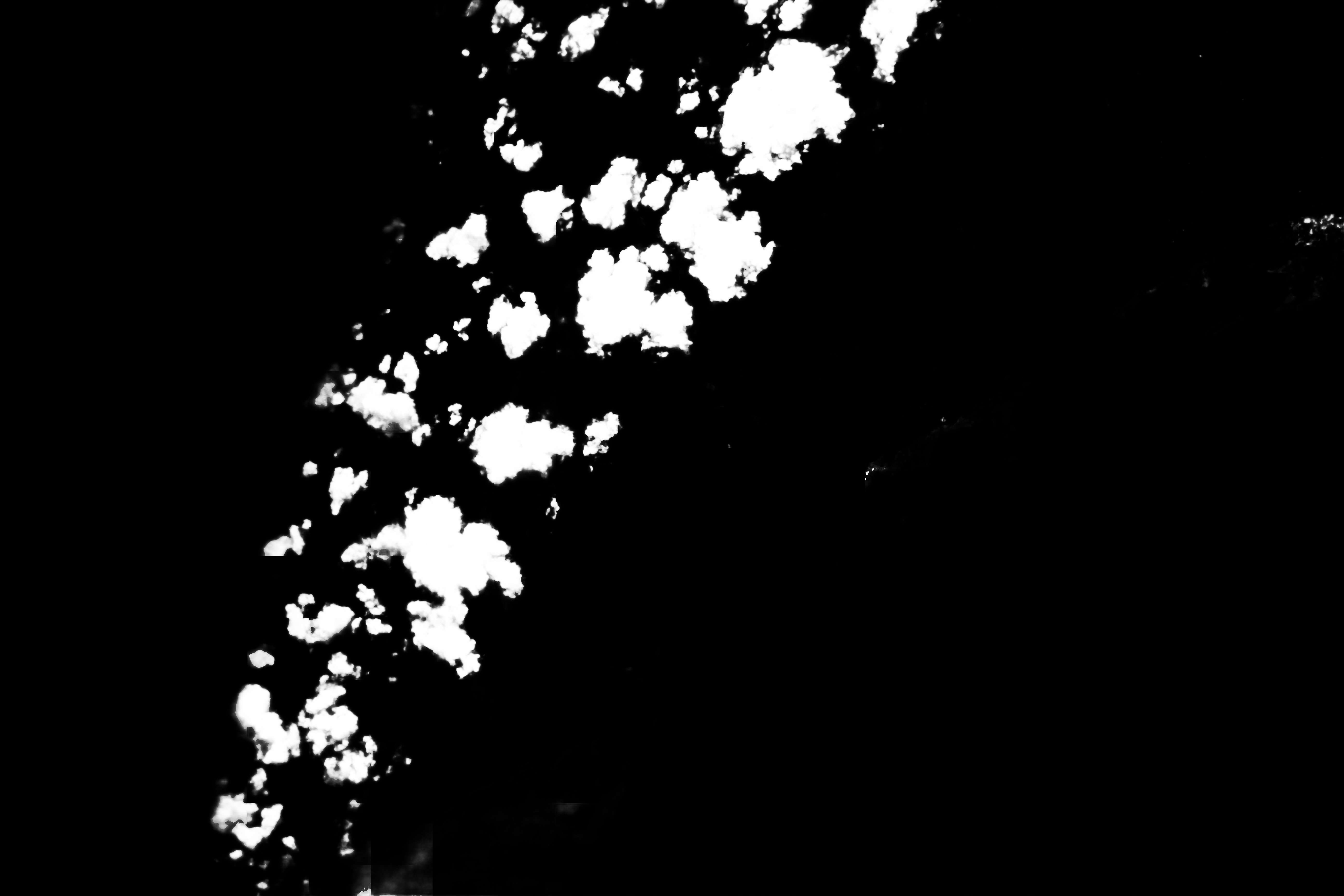 cloud mask image display 