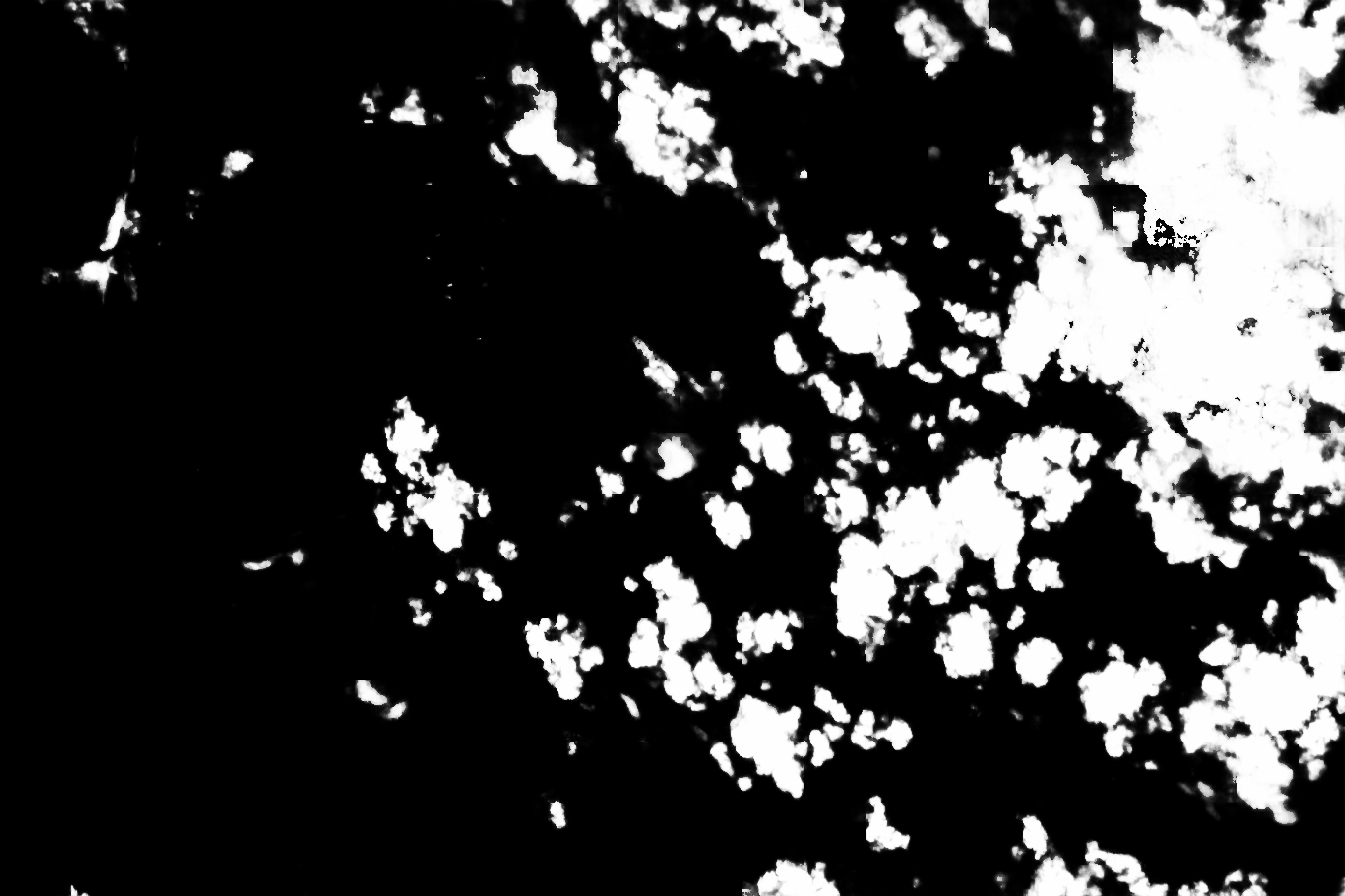 cloud mask image display 