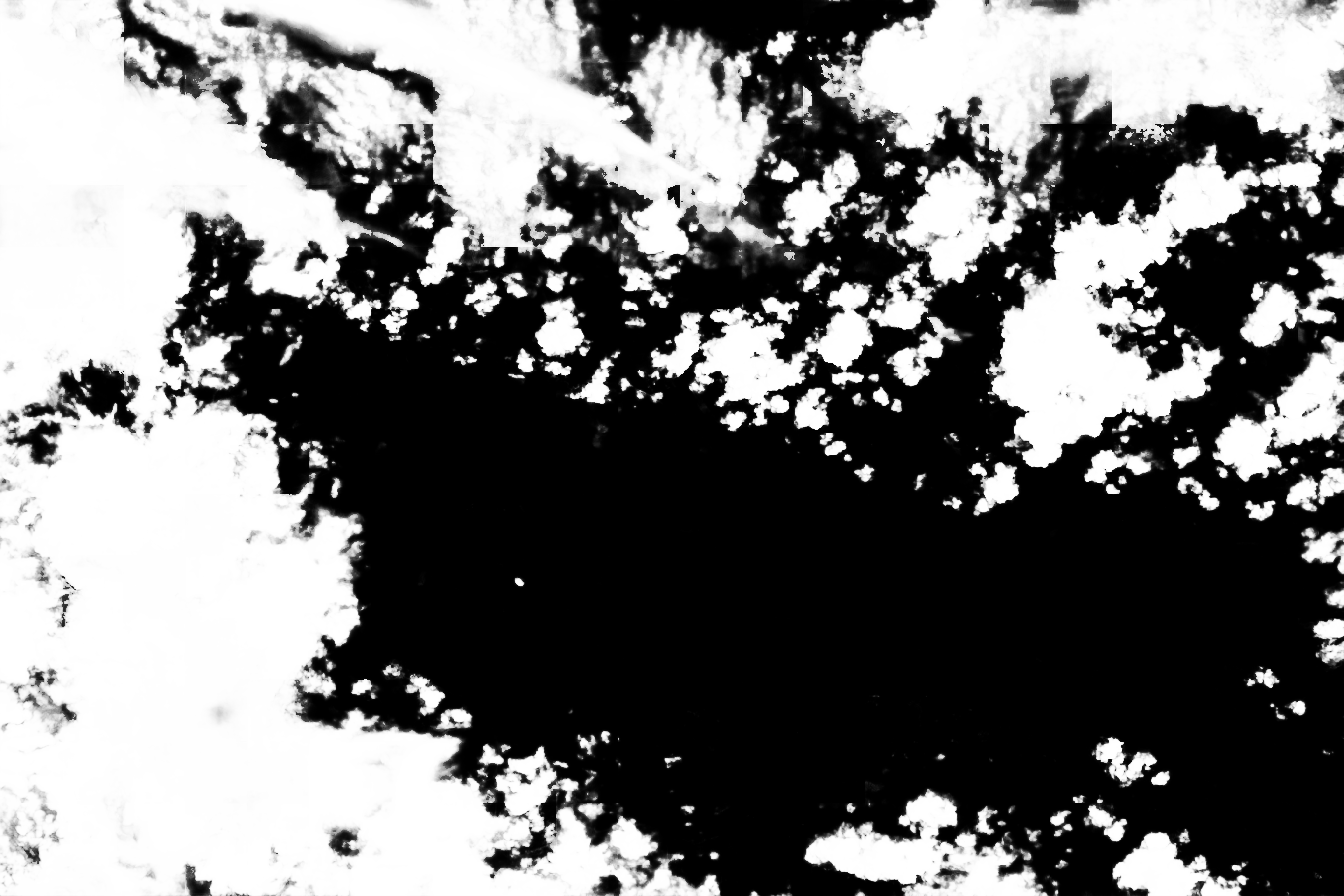 cloud mask image display 