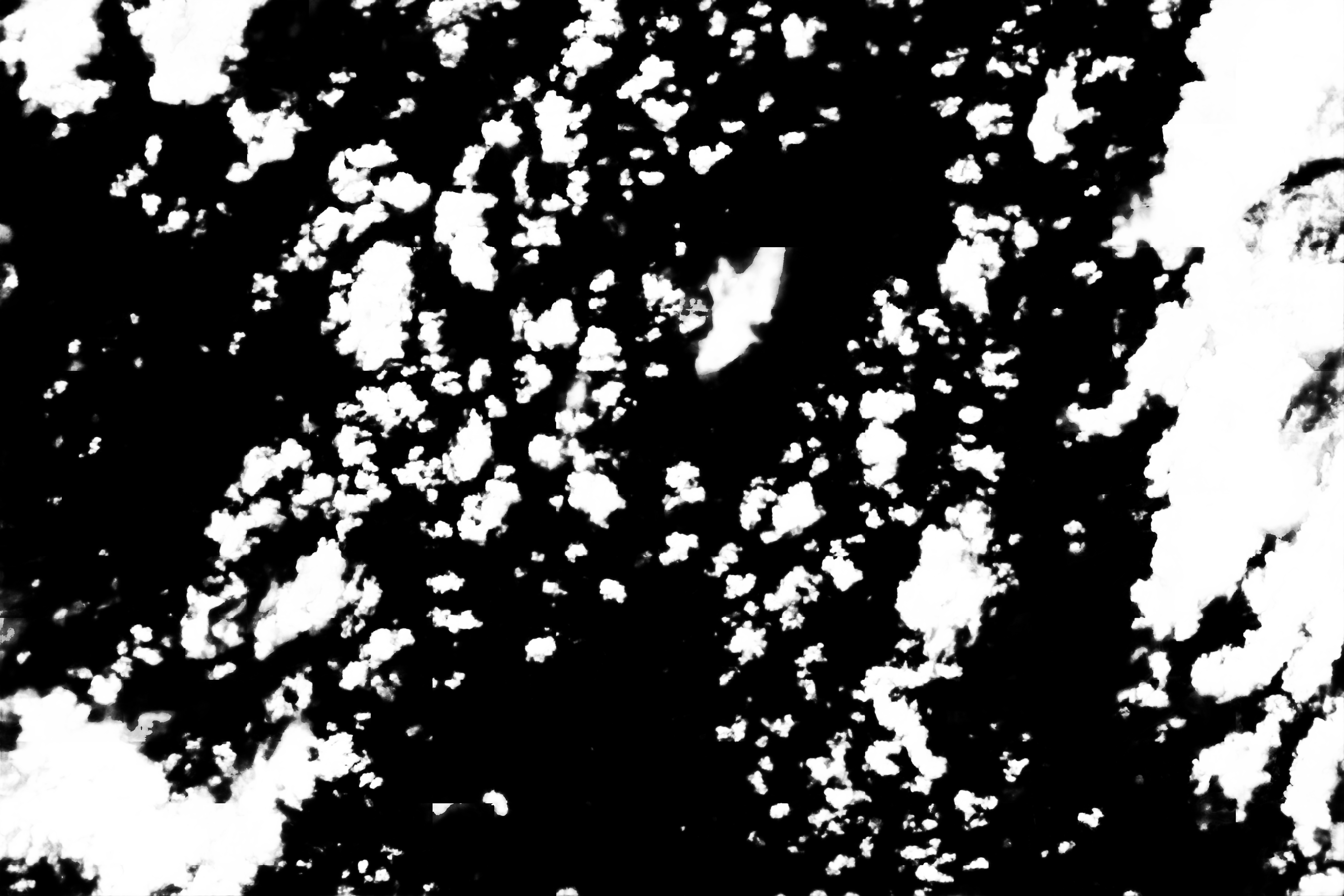 cloud mask image display 