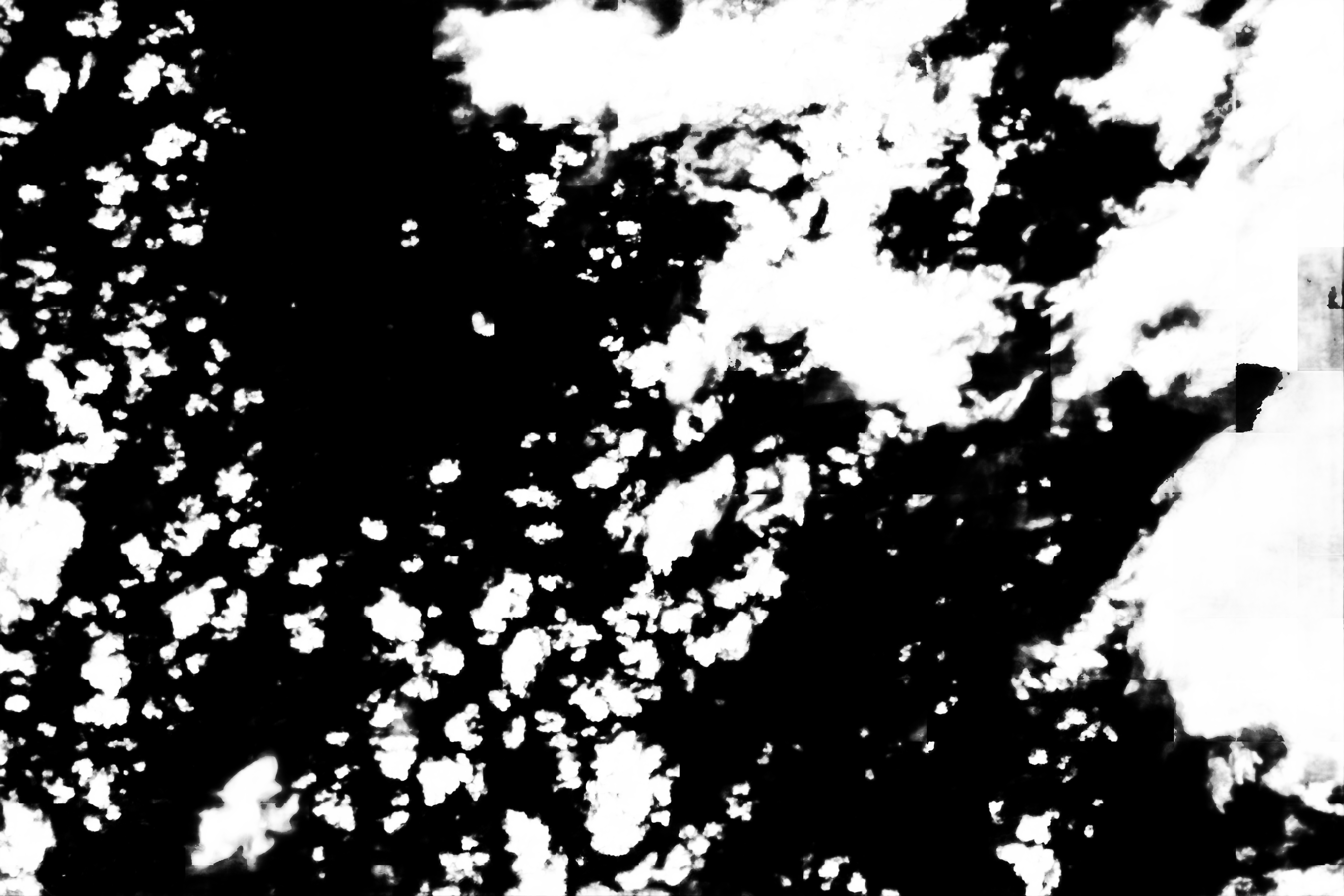 cloud mask image display 