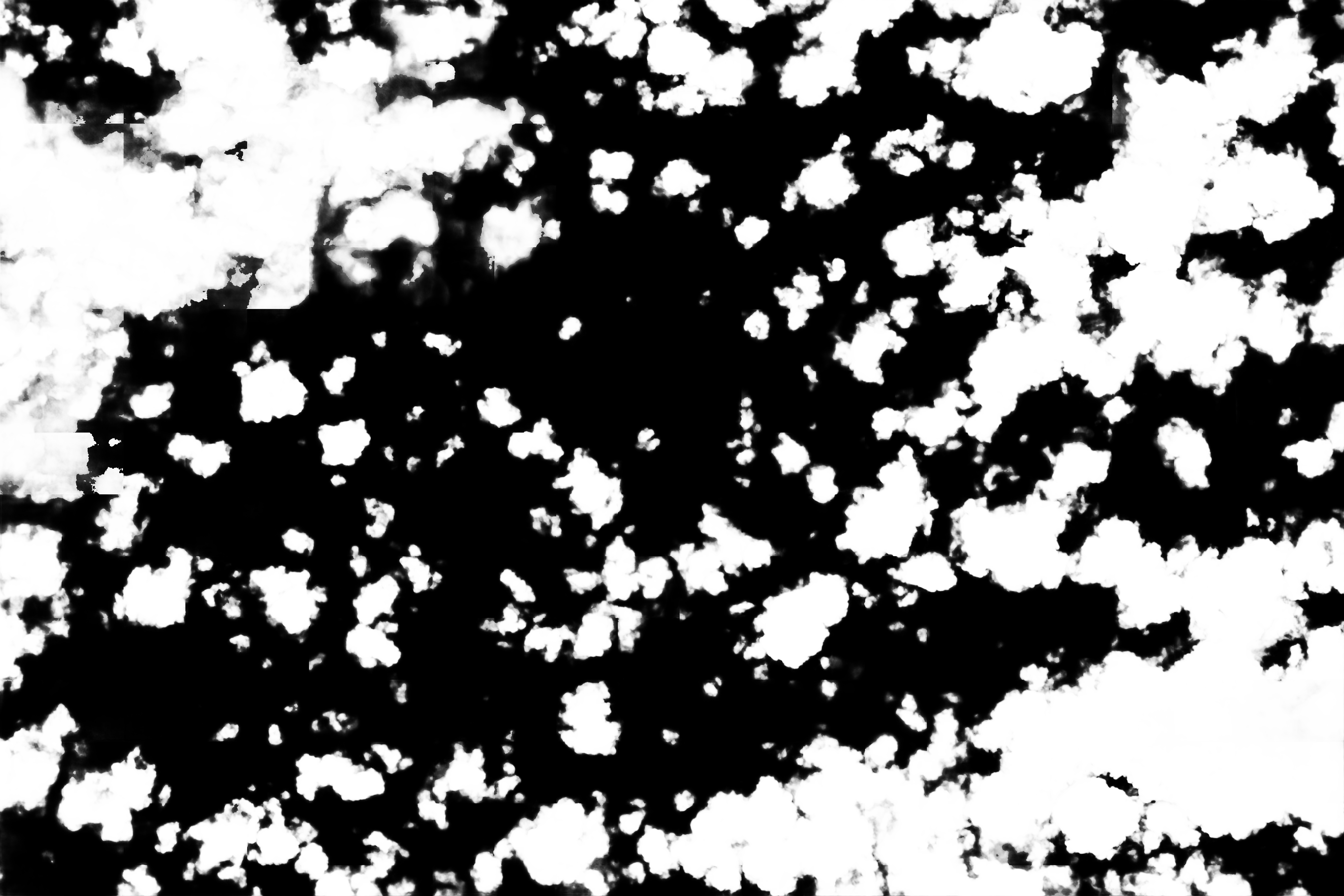 cloud mask image display 