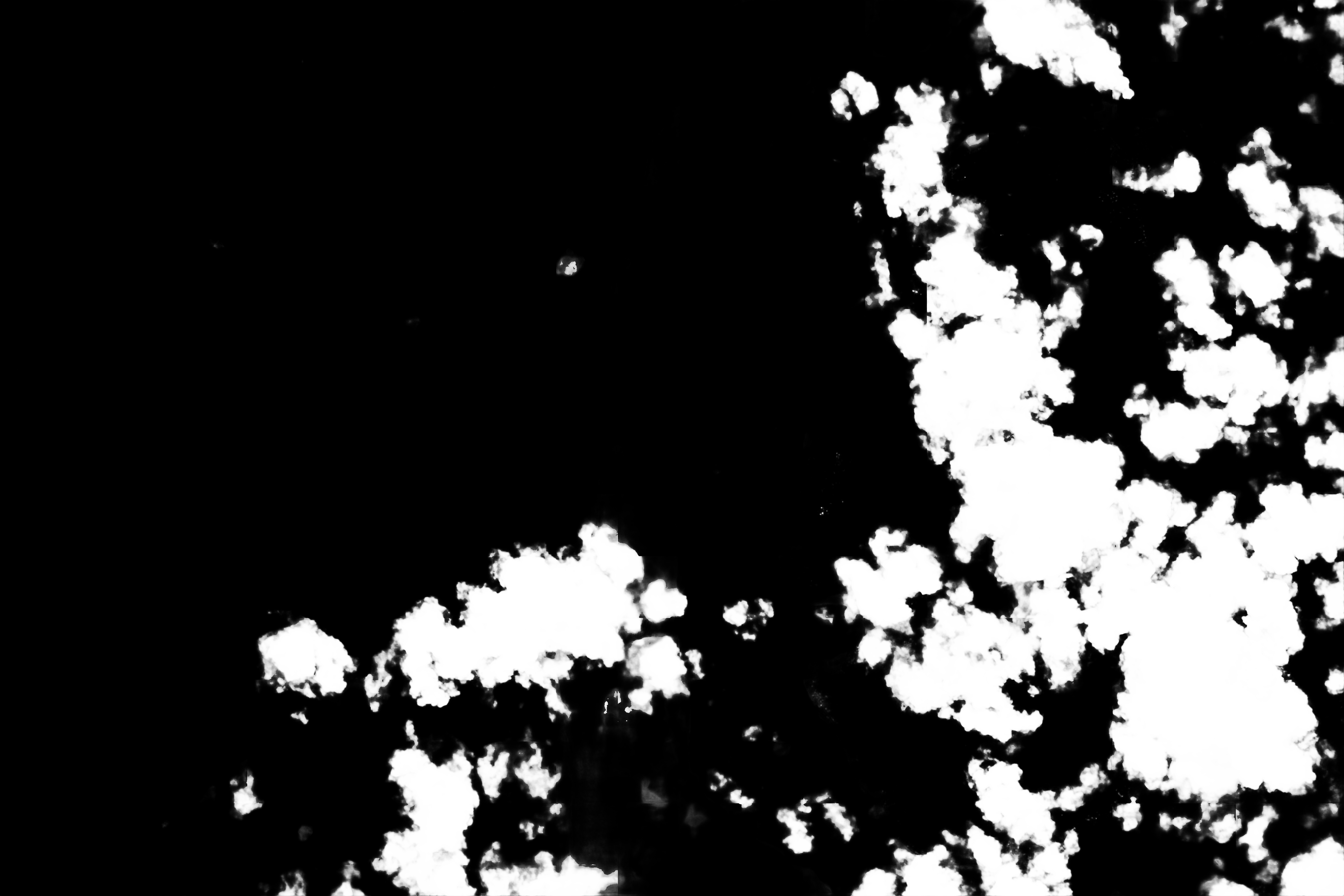 cloud mask image display 