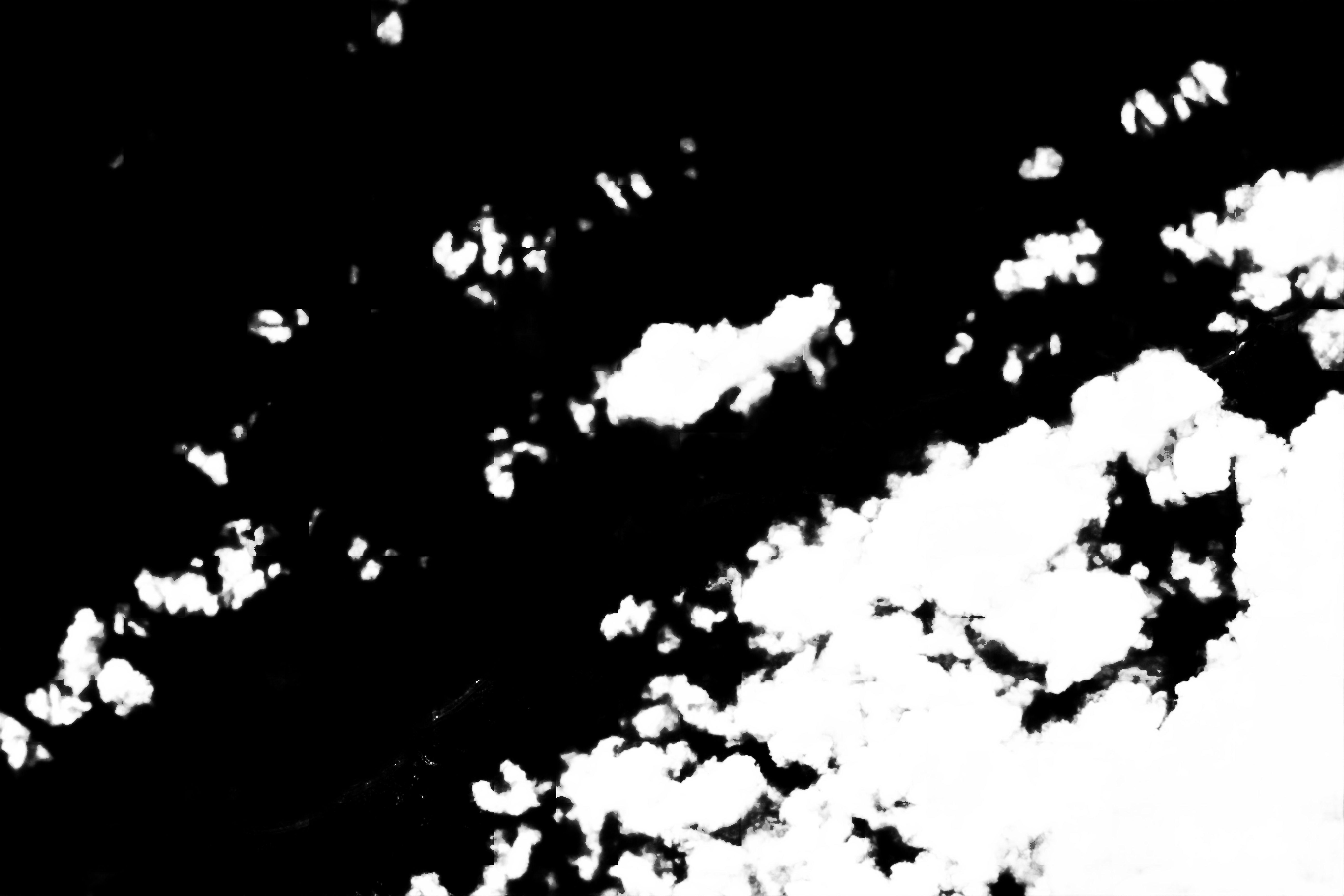 cloud mask image display 