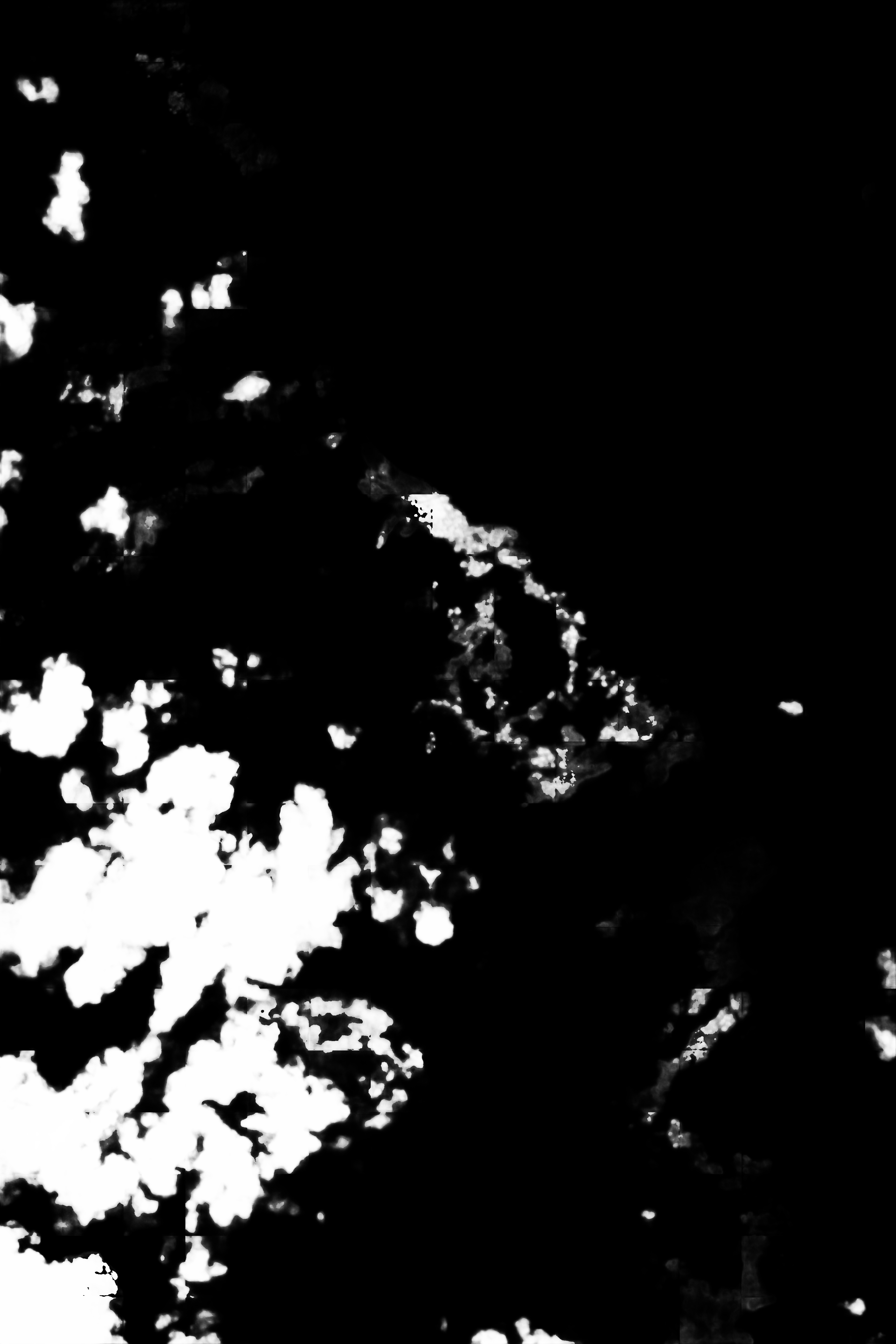 cloud mask image display 