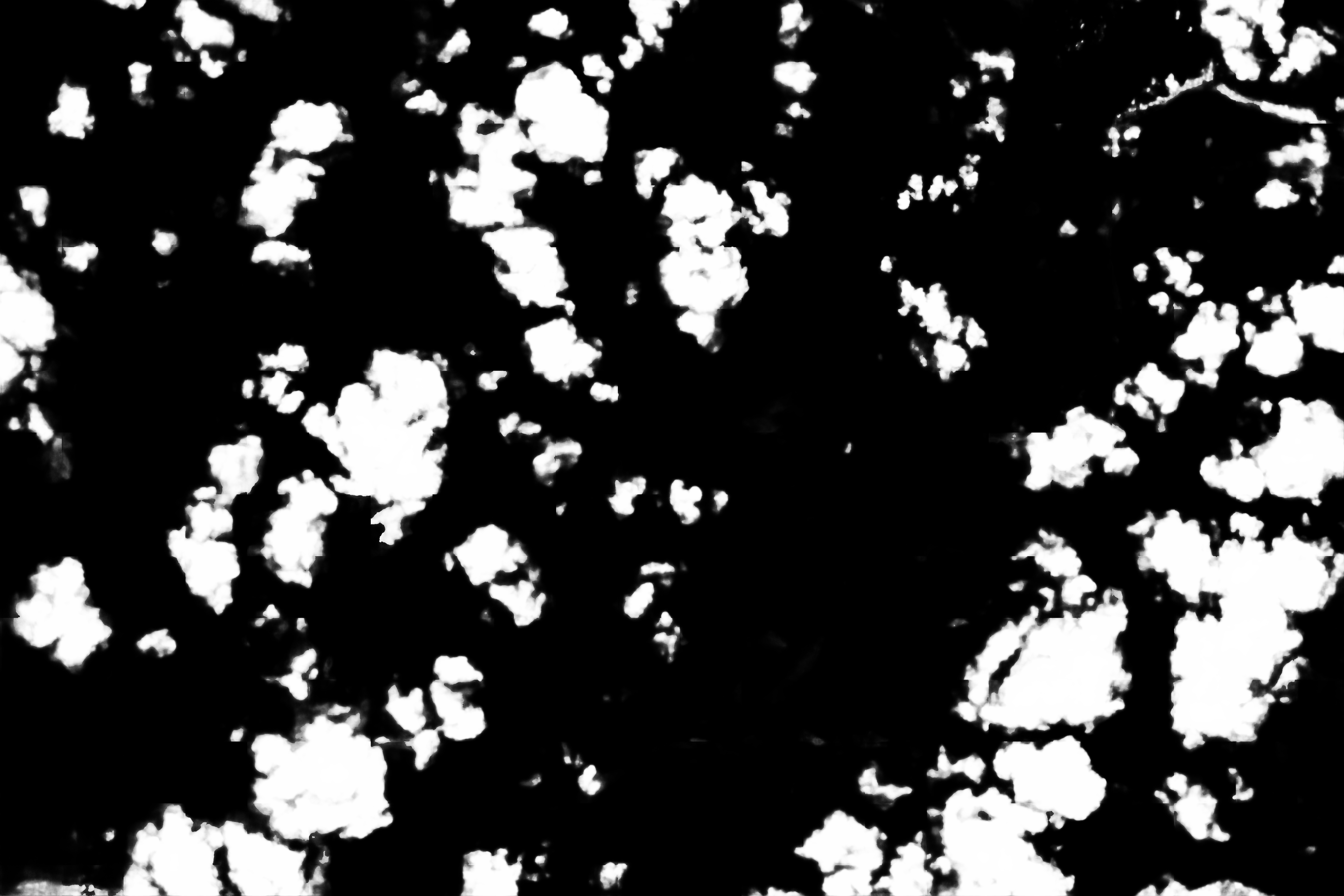 cloud mask image display 