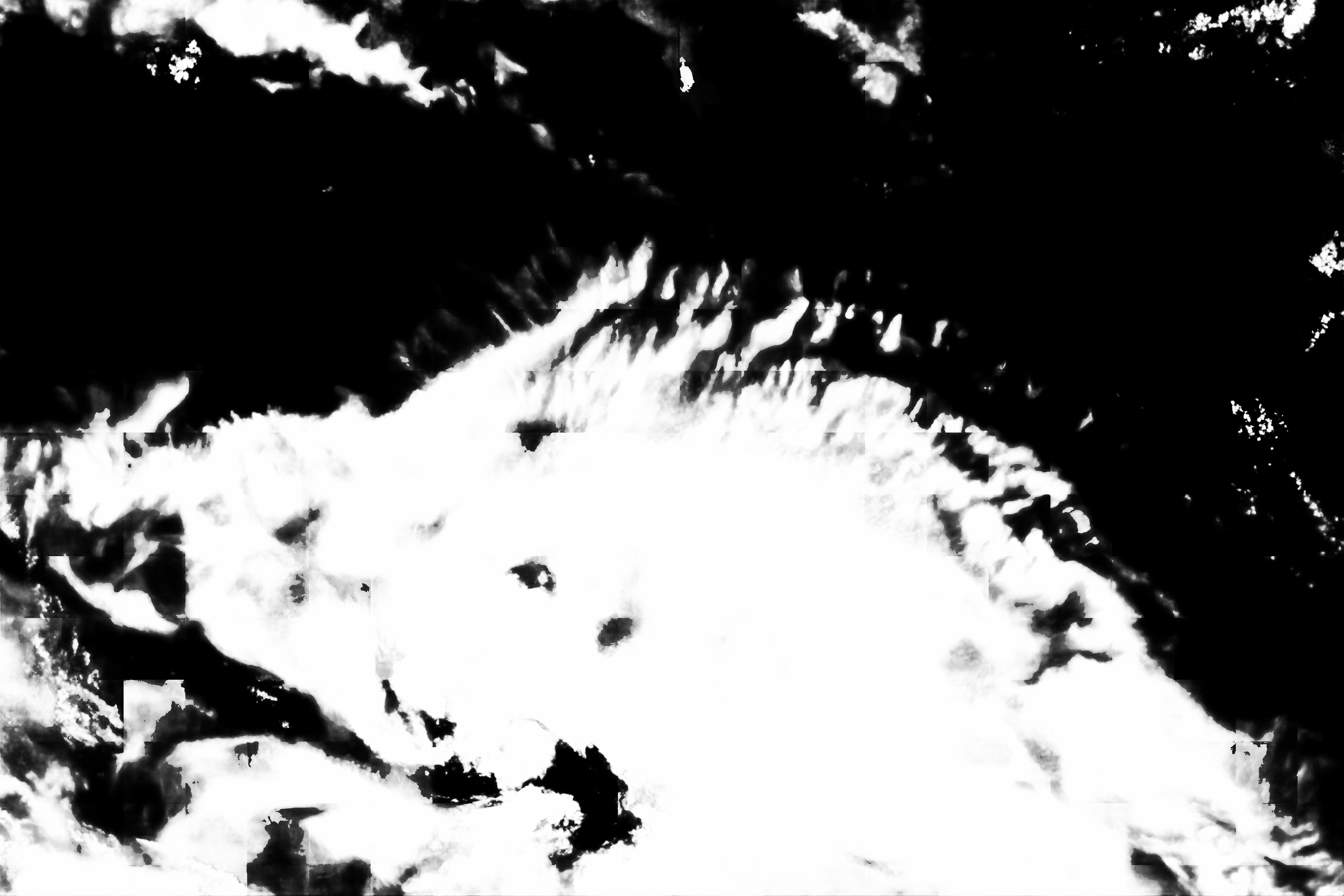 cloud mask image display 