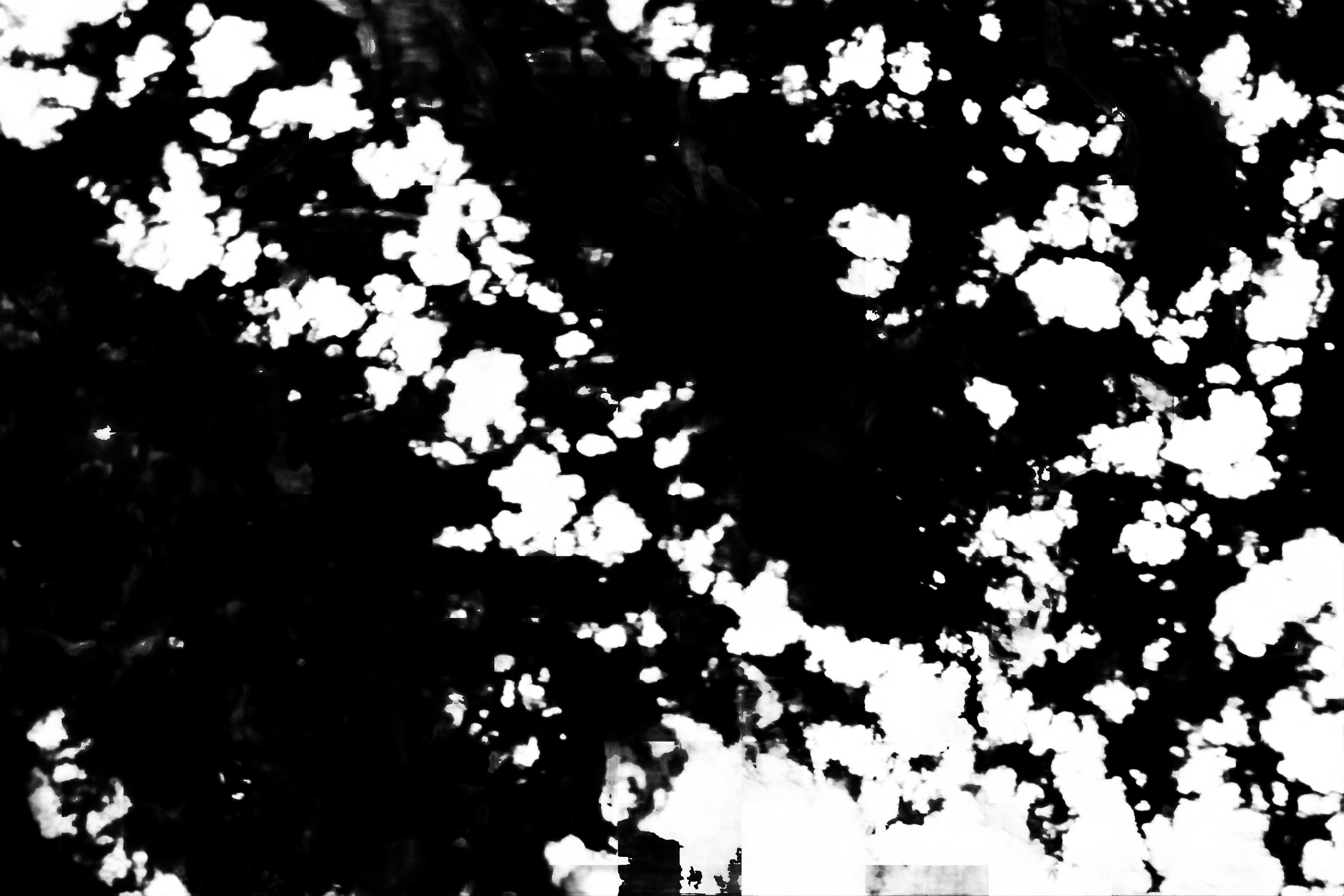 cloud mask image display 