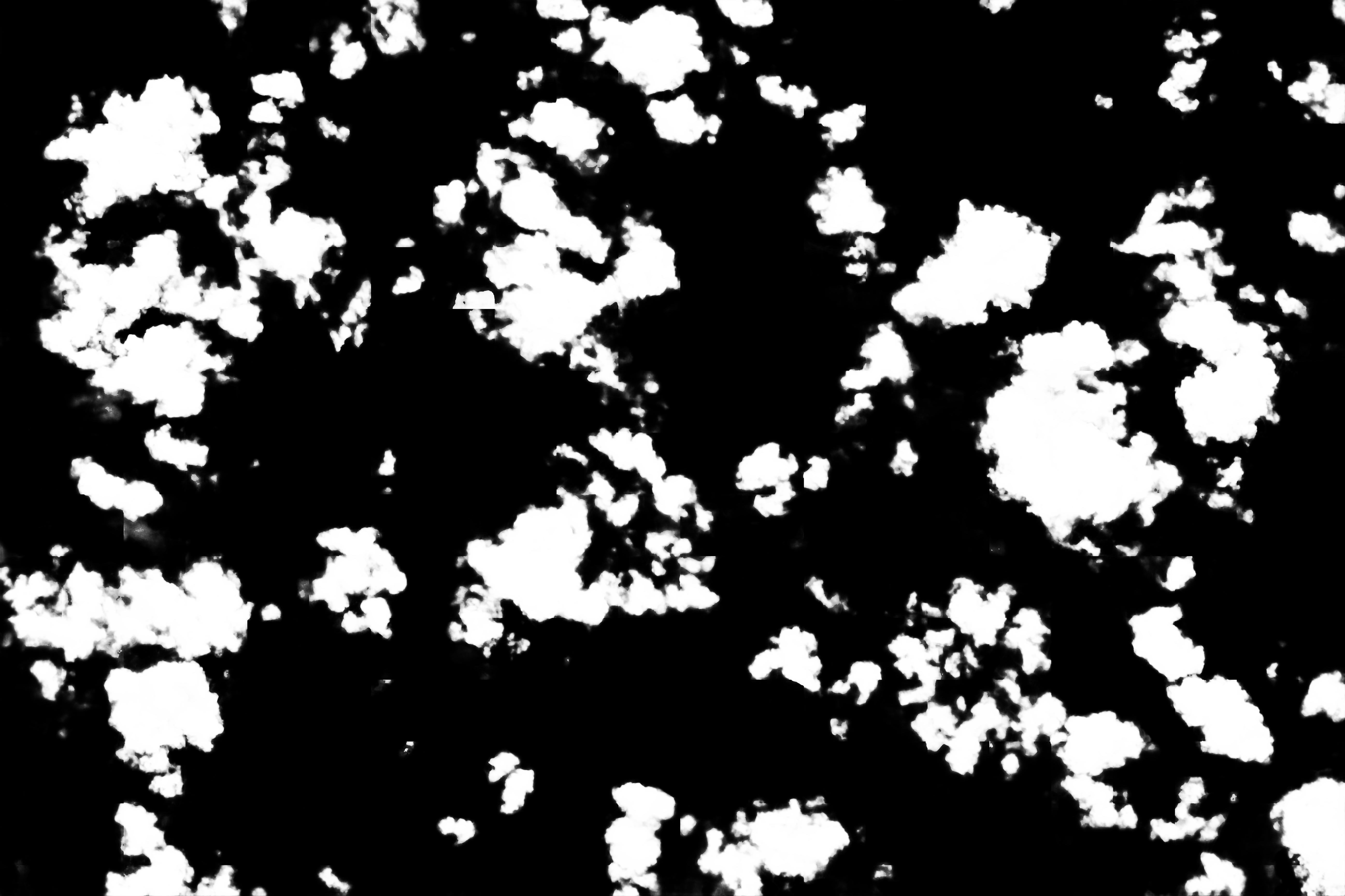 cloud mask image display 