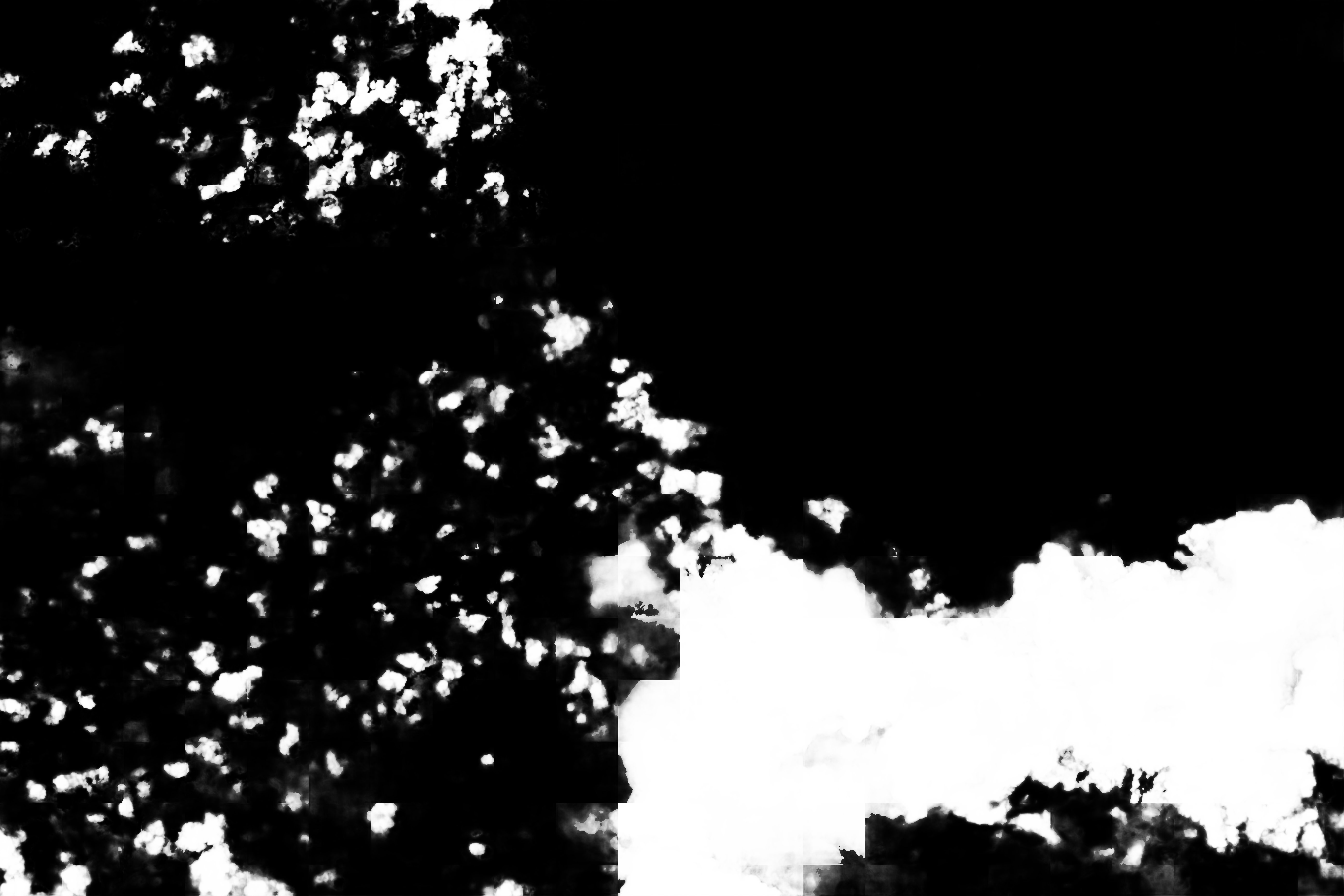 cloud mask image display 