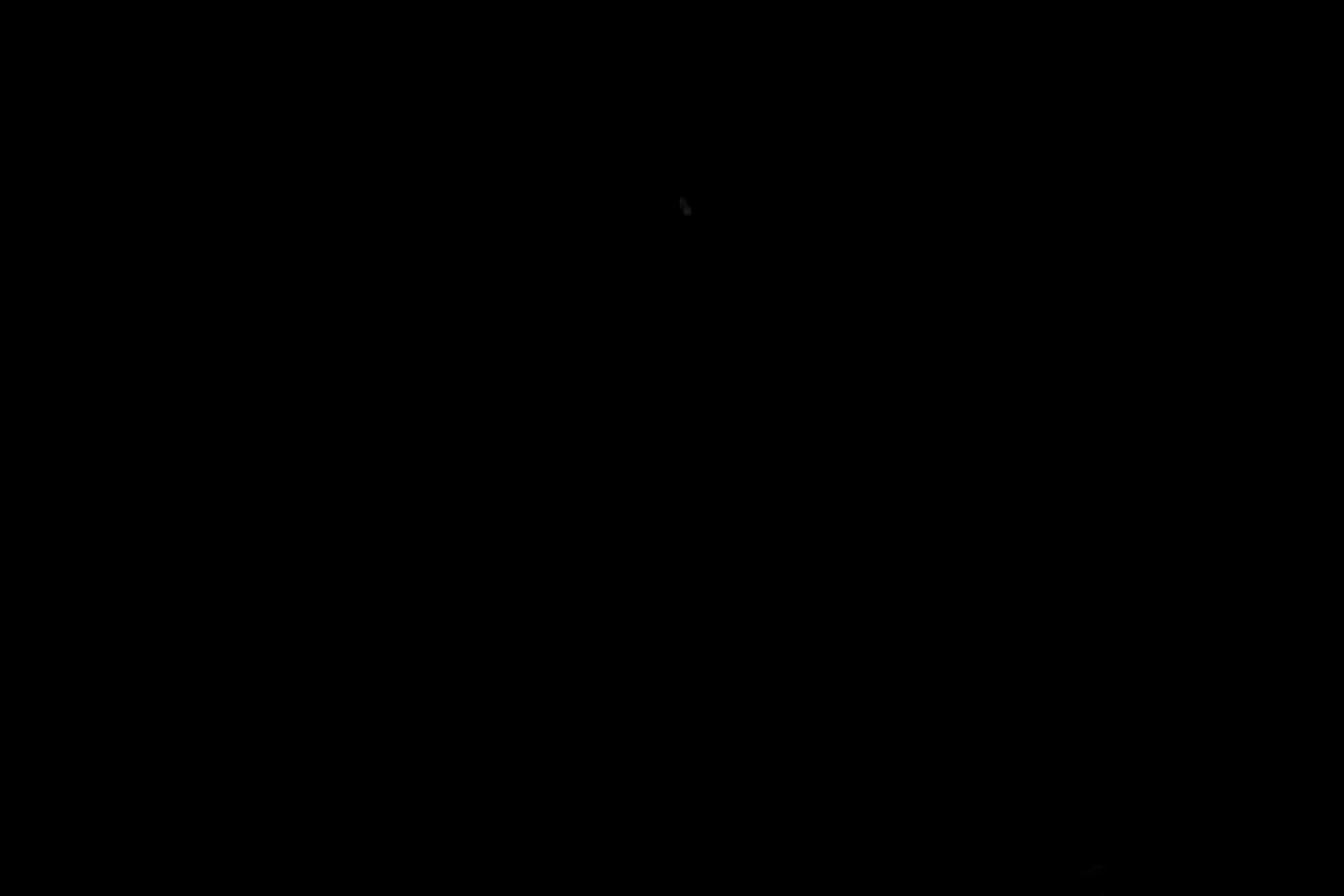 Astronaut Photo ISS070-E-87771