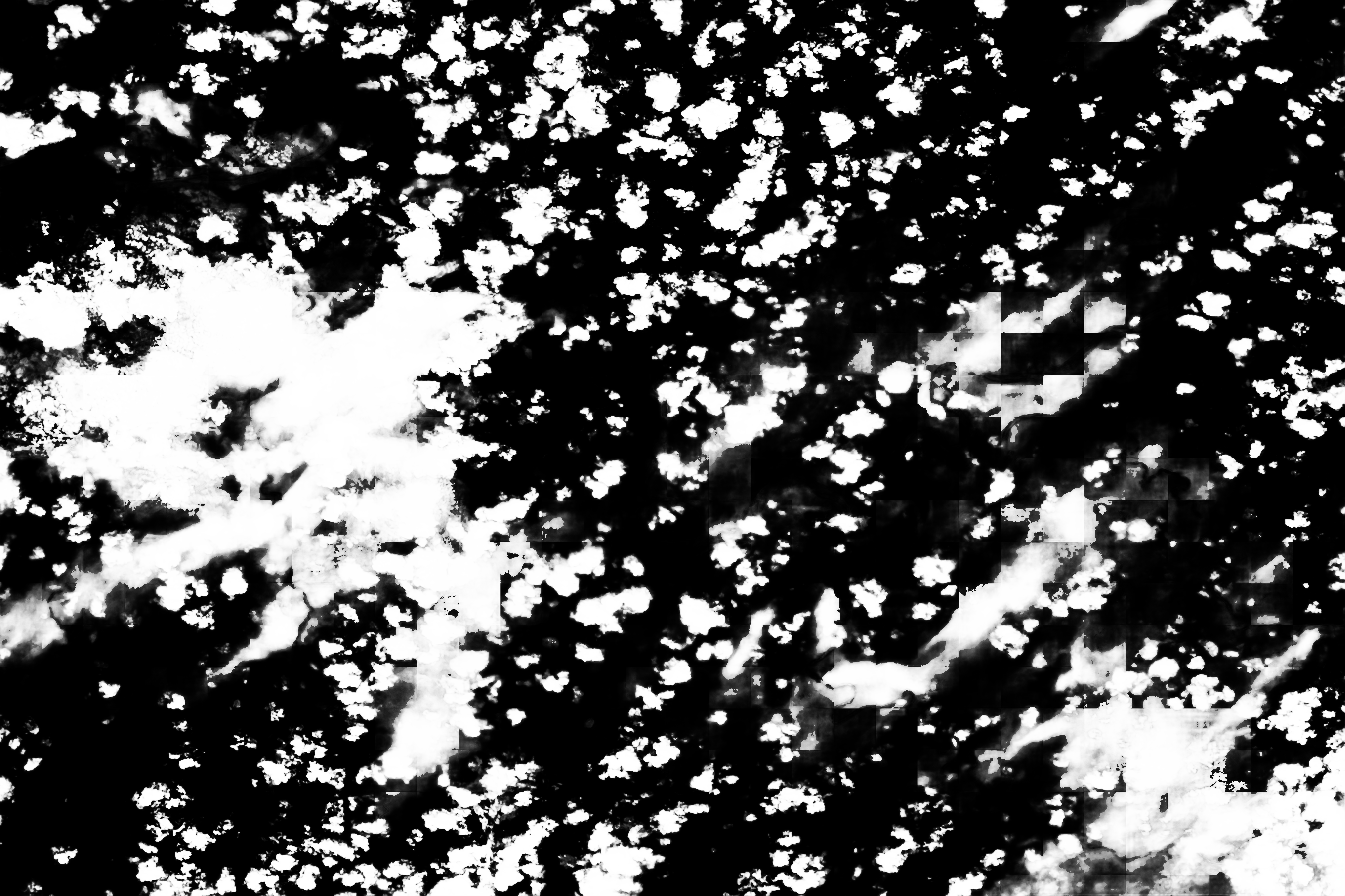 cloud mask image display 