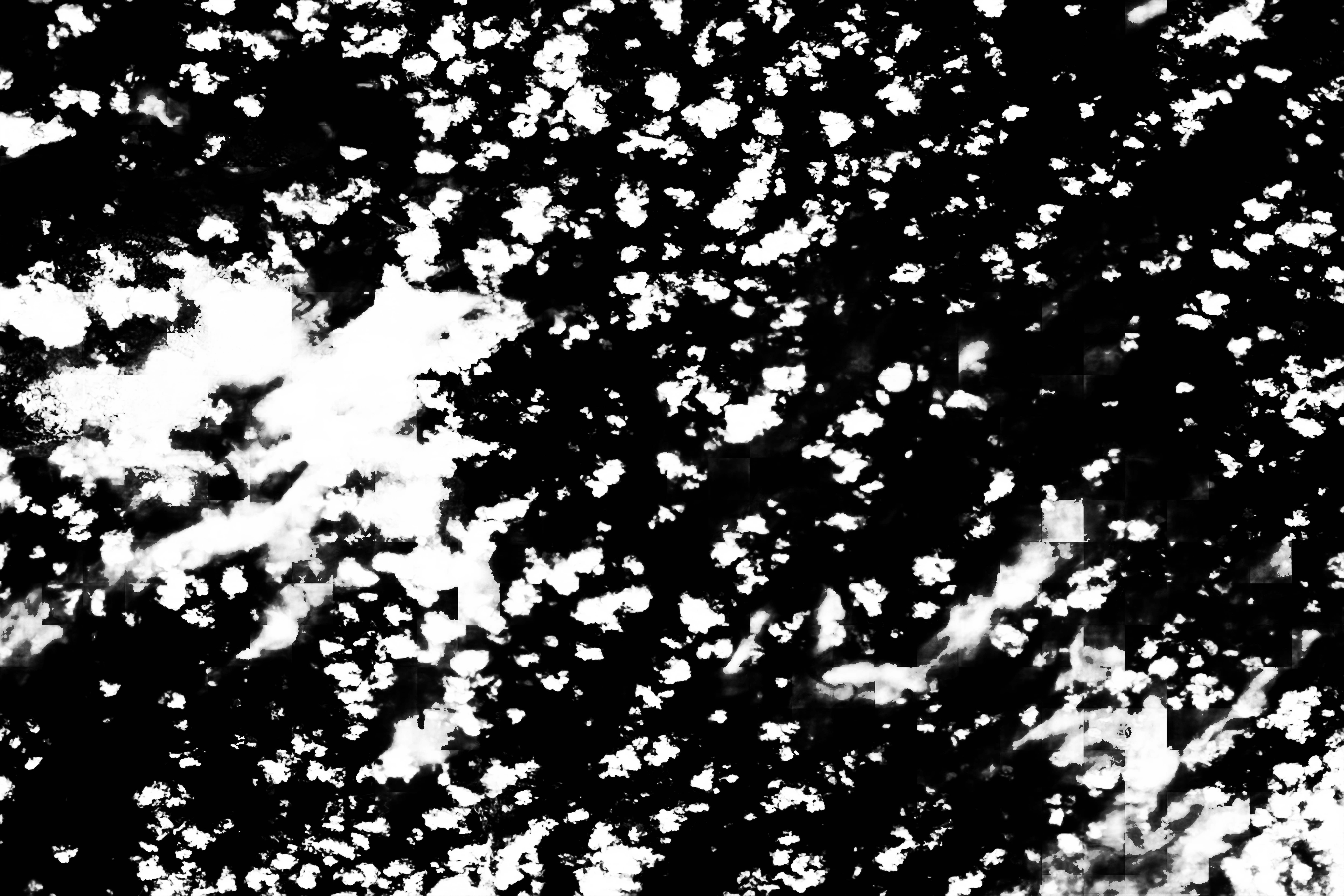 cloud mask image display 