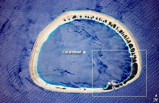 View Low-Resolution Image