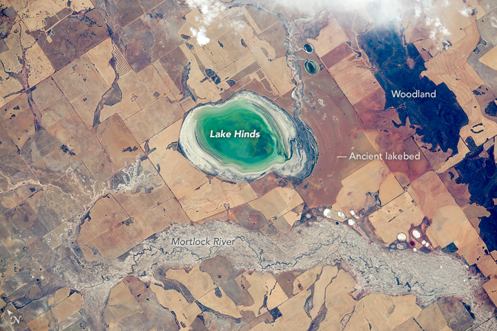 View Low-Resolution Image