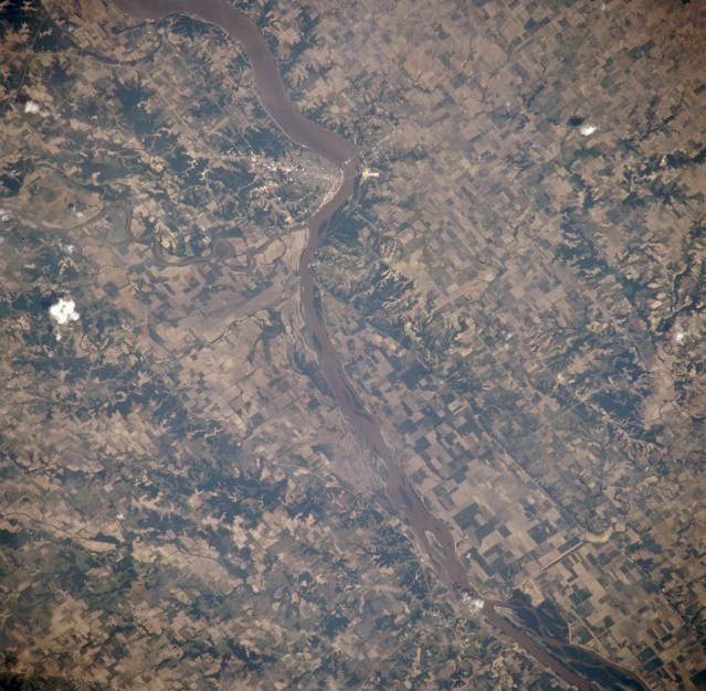 View Low-Resolution Image