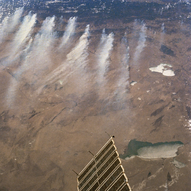 View Low-Resolution Image