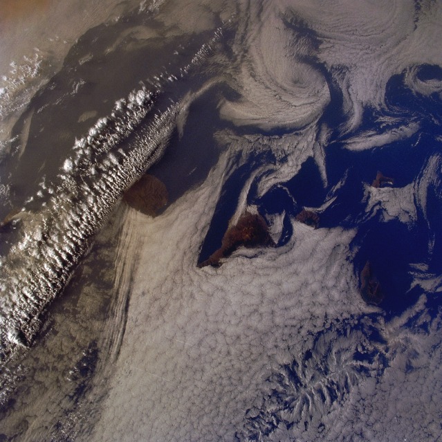 View Low-Resolution Image