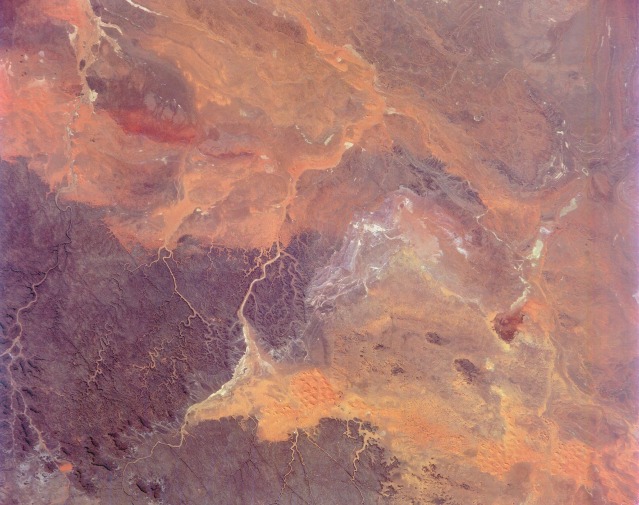 View Low-Resolution Image