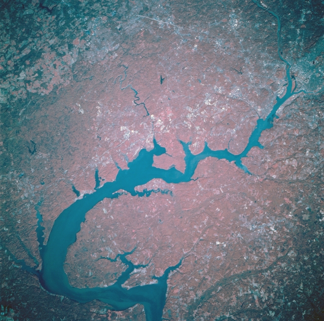 View Low-Resolution Image