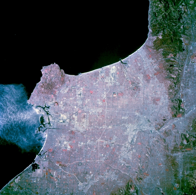 View Low-Resolution Image