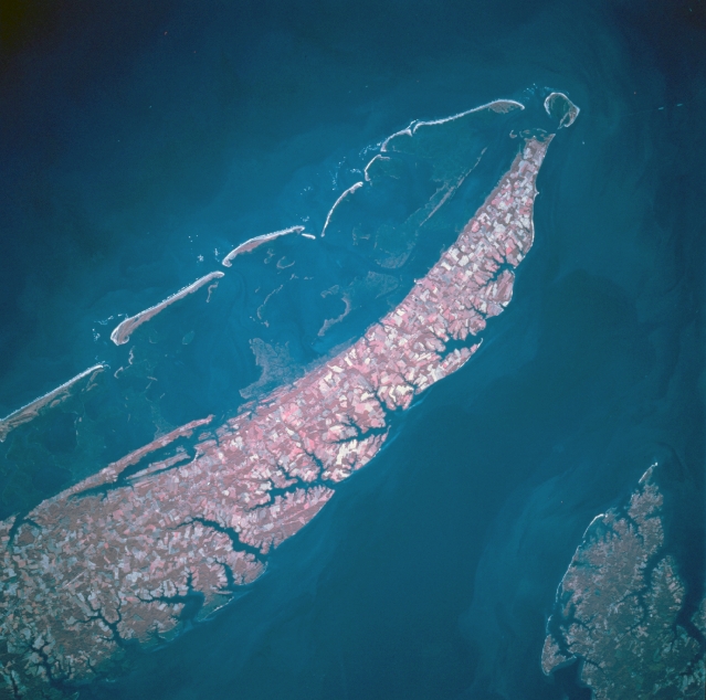 View Low-Resolution Image