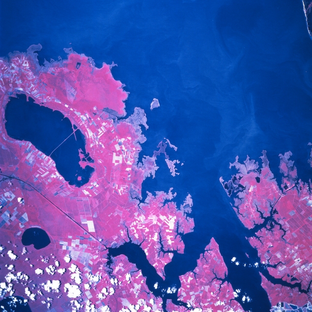 View Low-Resolution Image