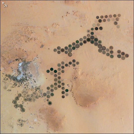 Green Circles Al Khufrah Oasis, Libya
